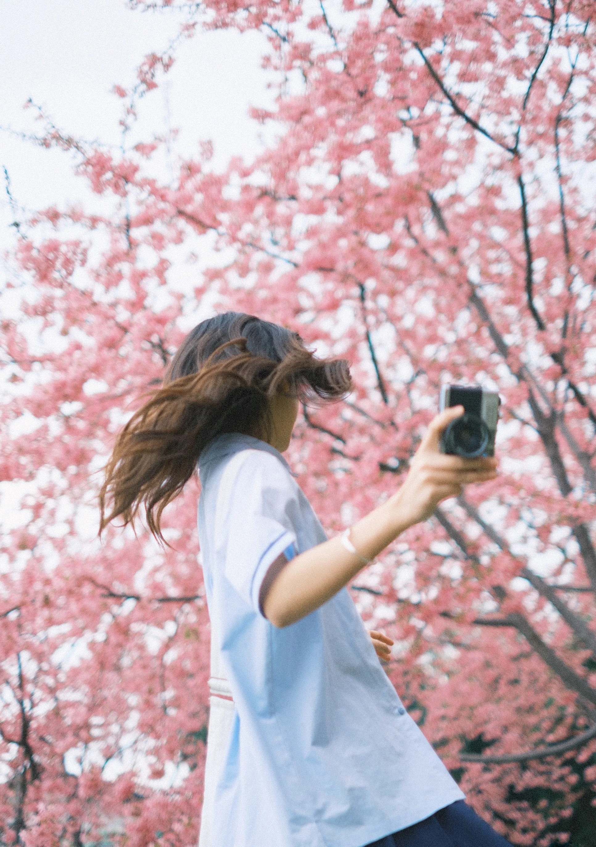 Photo by 壁纸迷