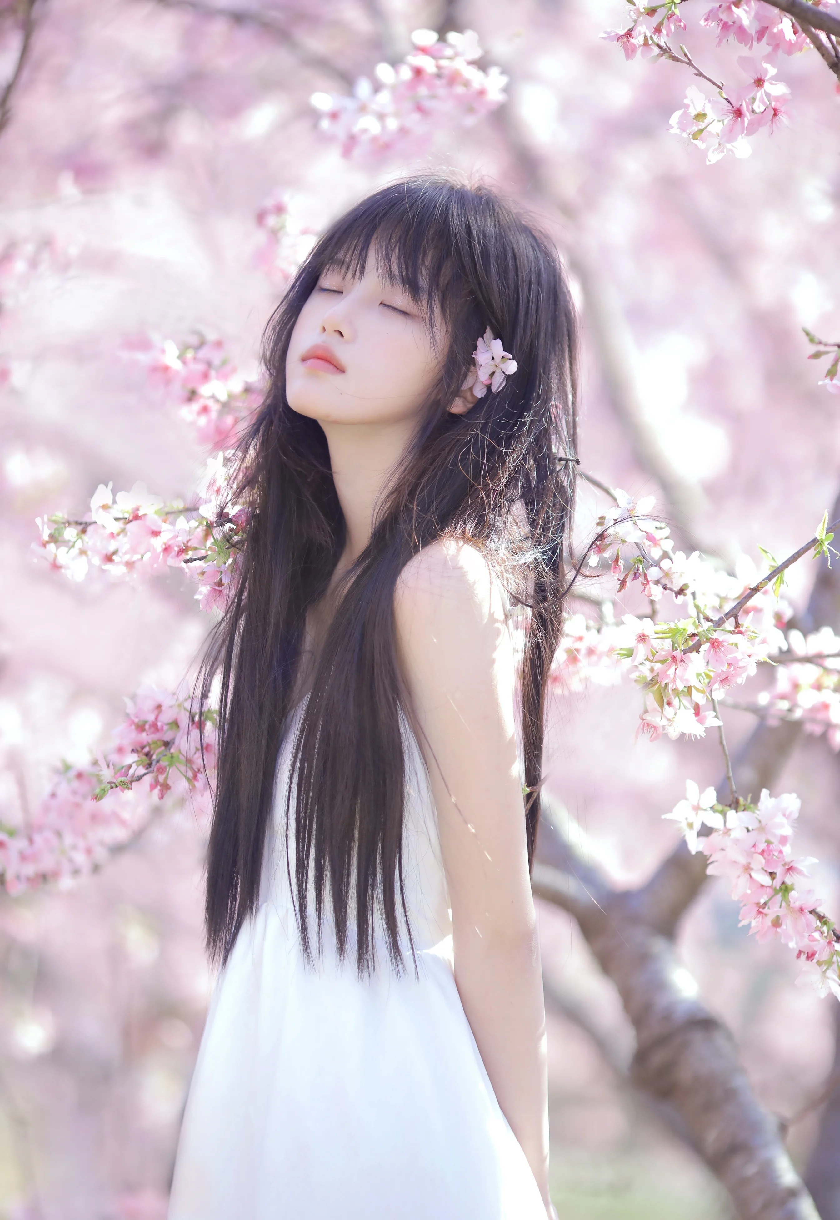 Photo by 壁纸迷