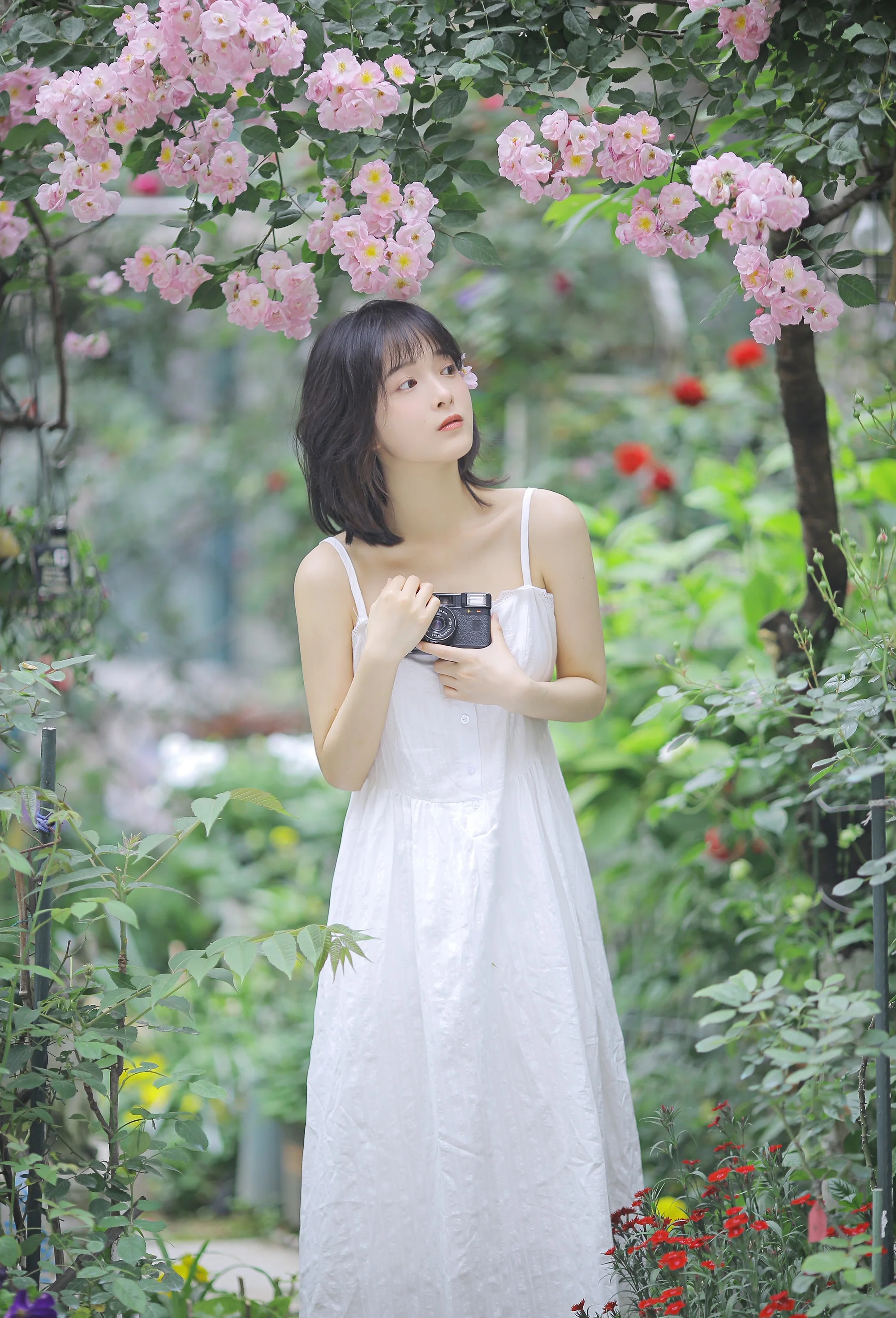 Photo by 壁纸迷