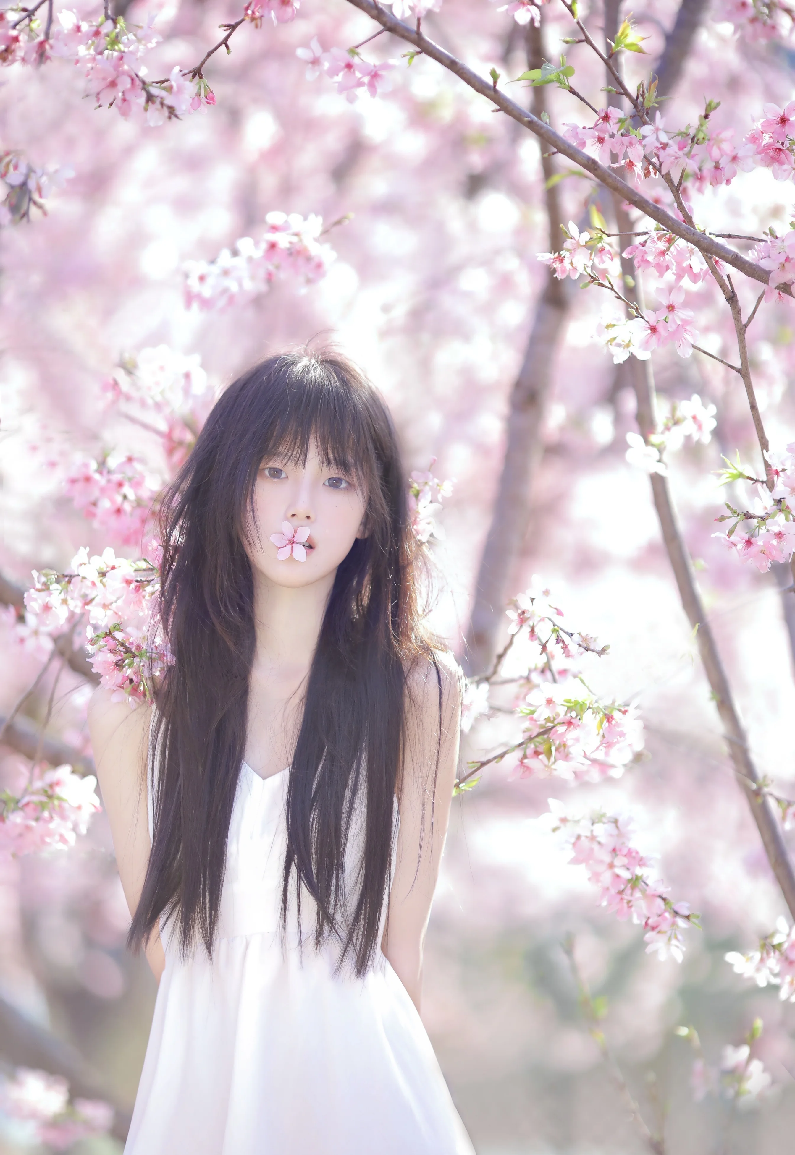 Photo by 壁纸迷