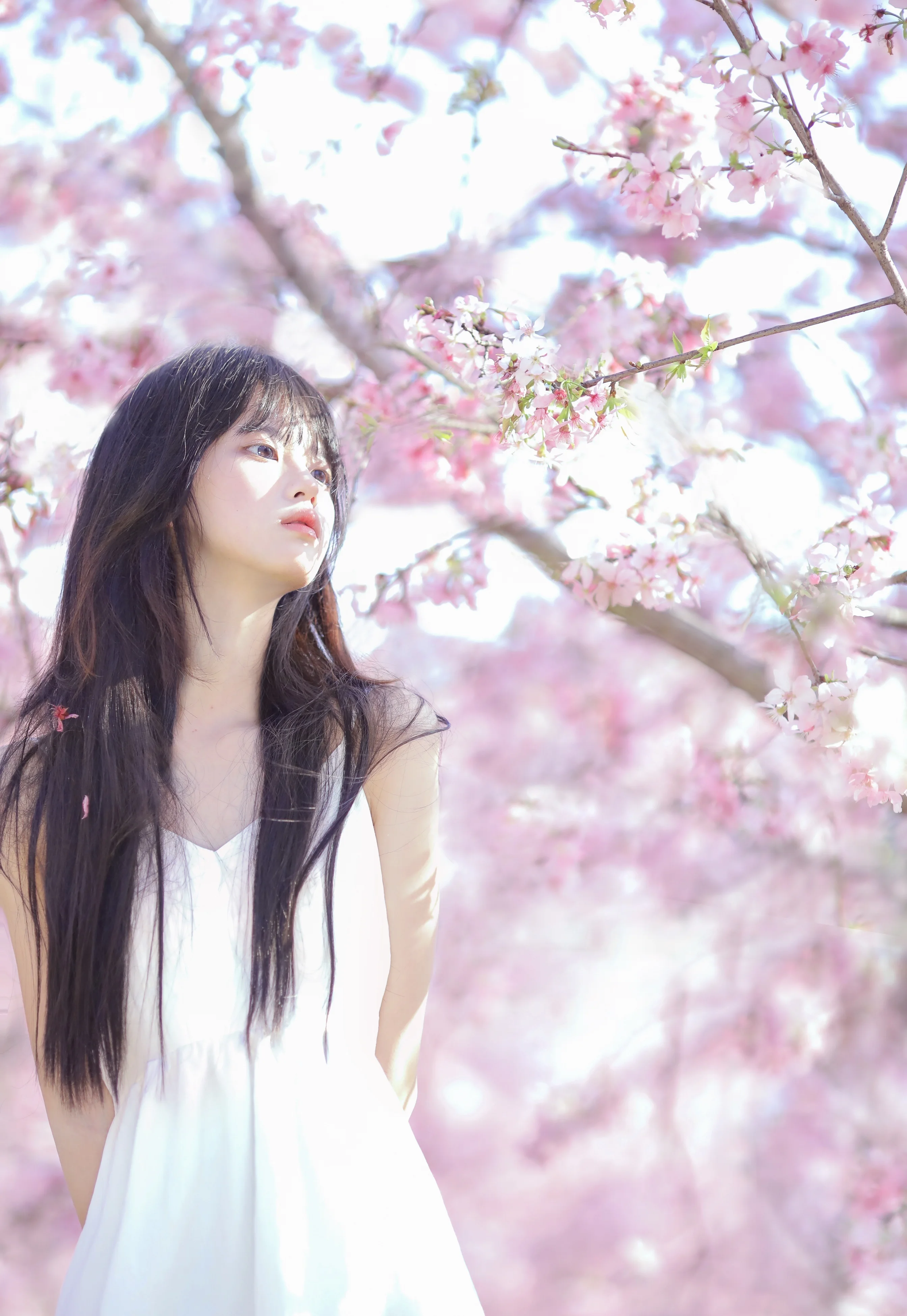 4K高清女神图片 美女苹果ios壁纸