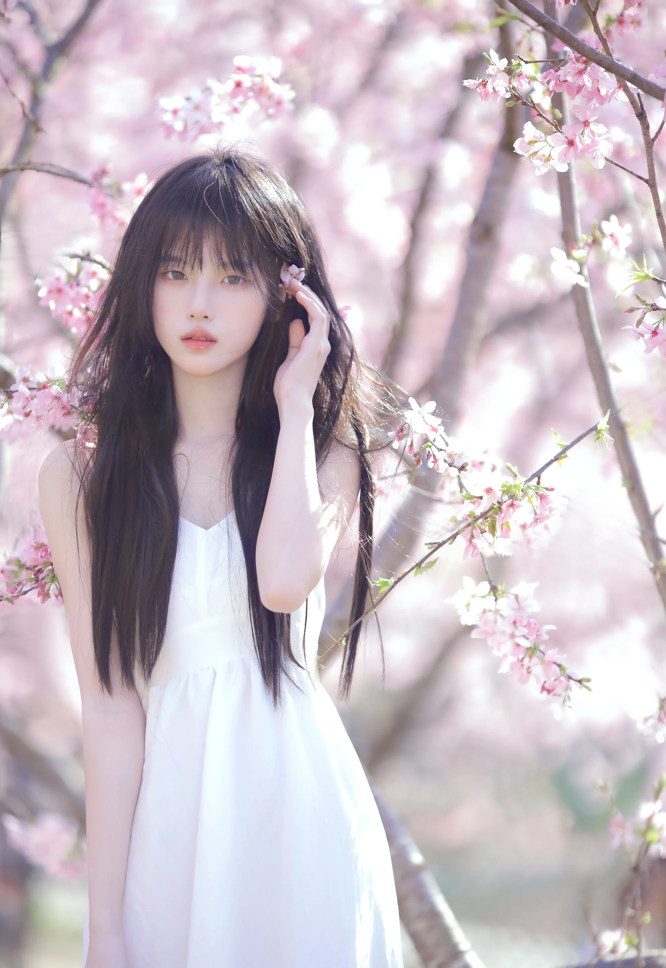 Photo by 壁纸迷