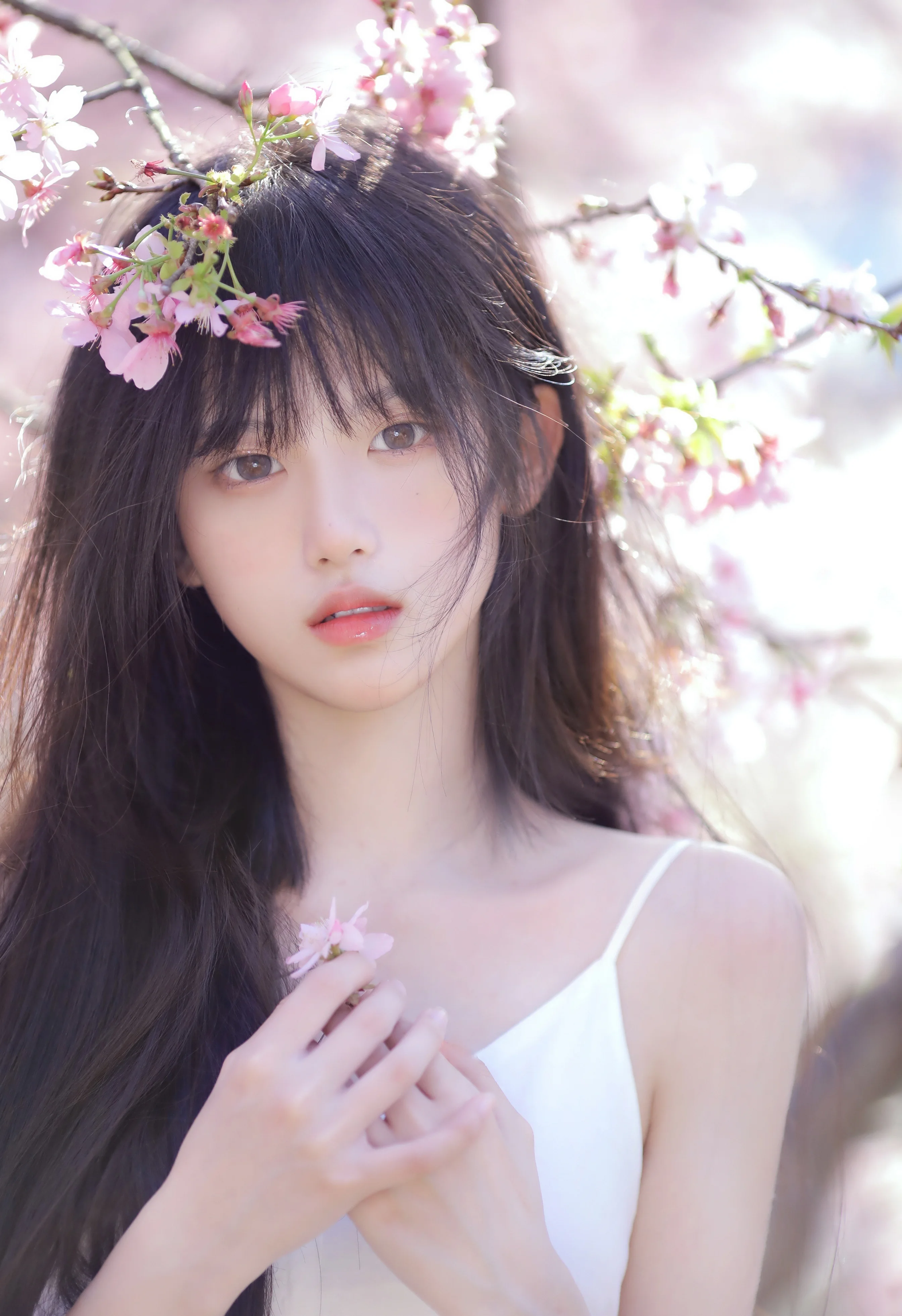 Photo by 壁纸迷
