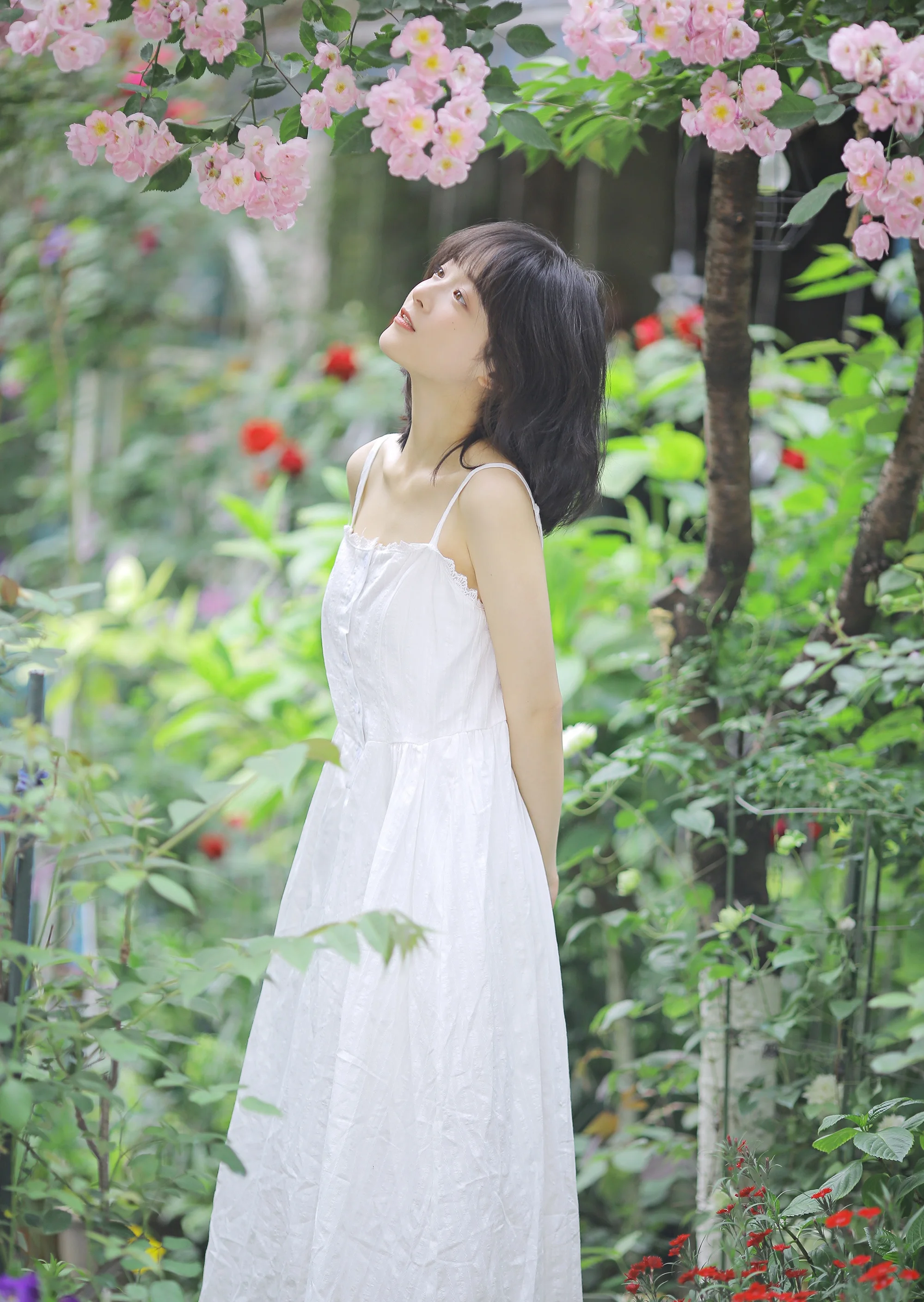 Photo by 壁纸迷
