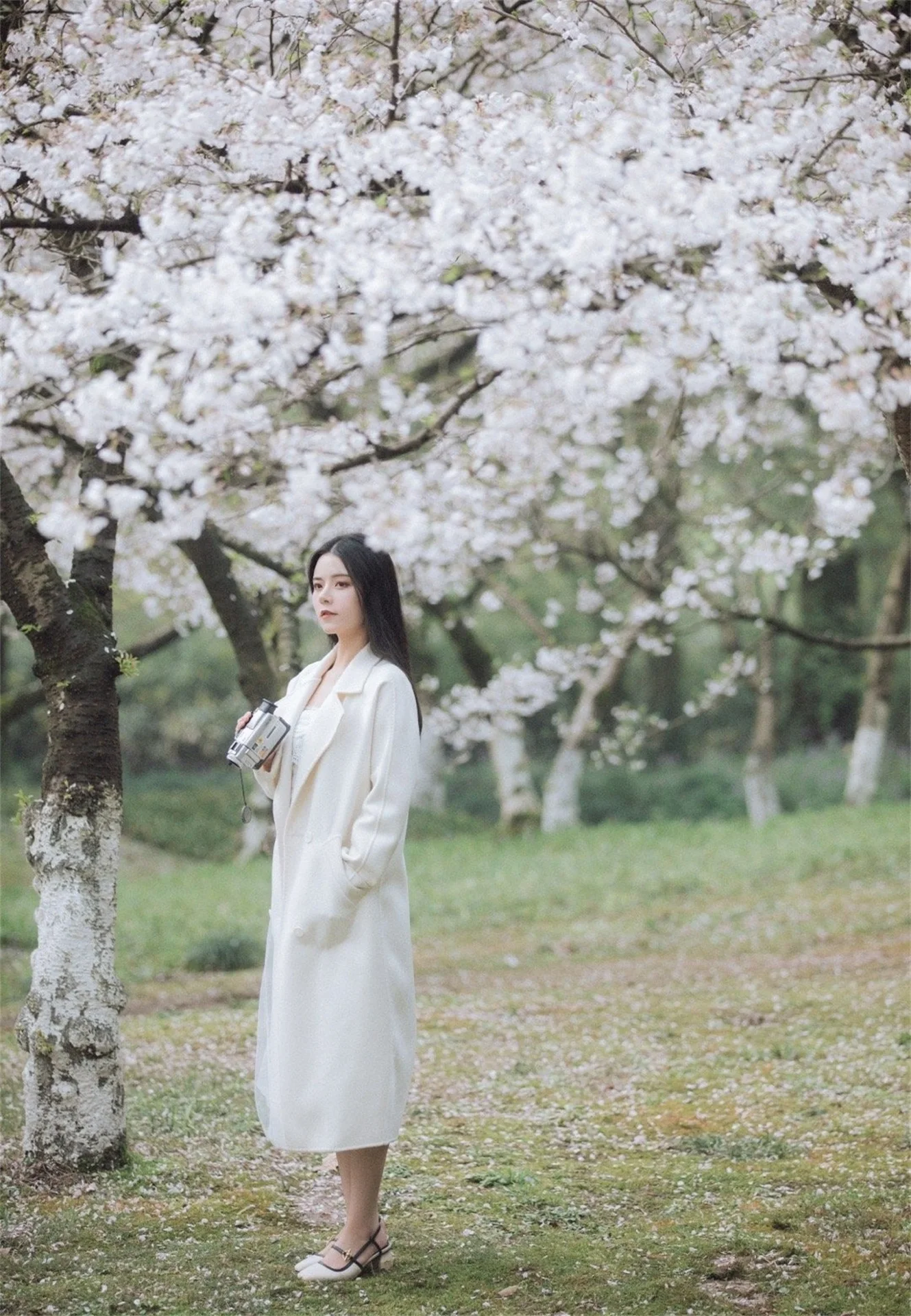 Photo by 壁纸迷