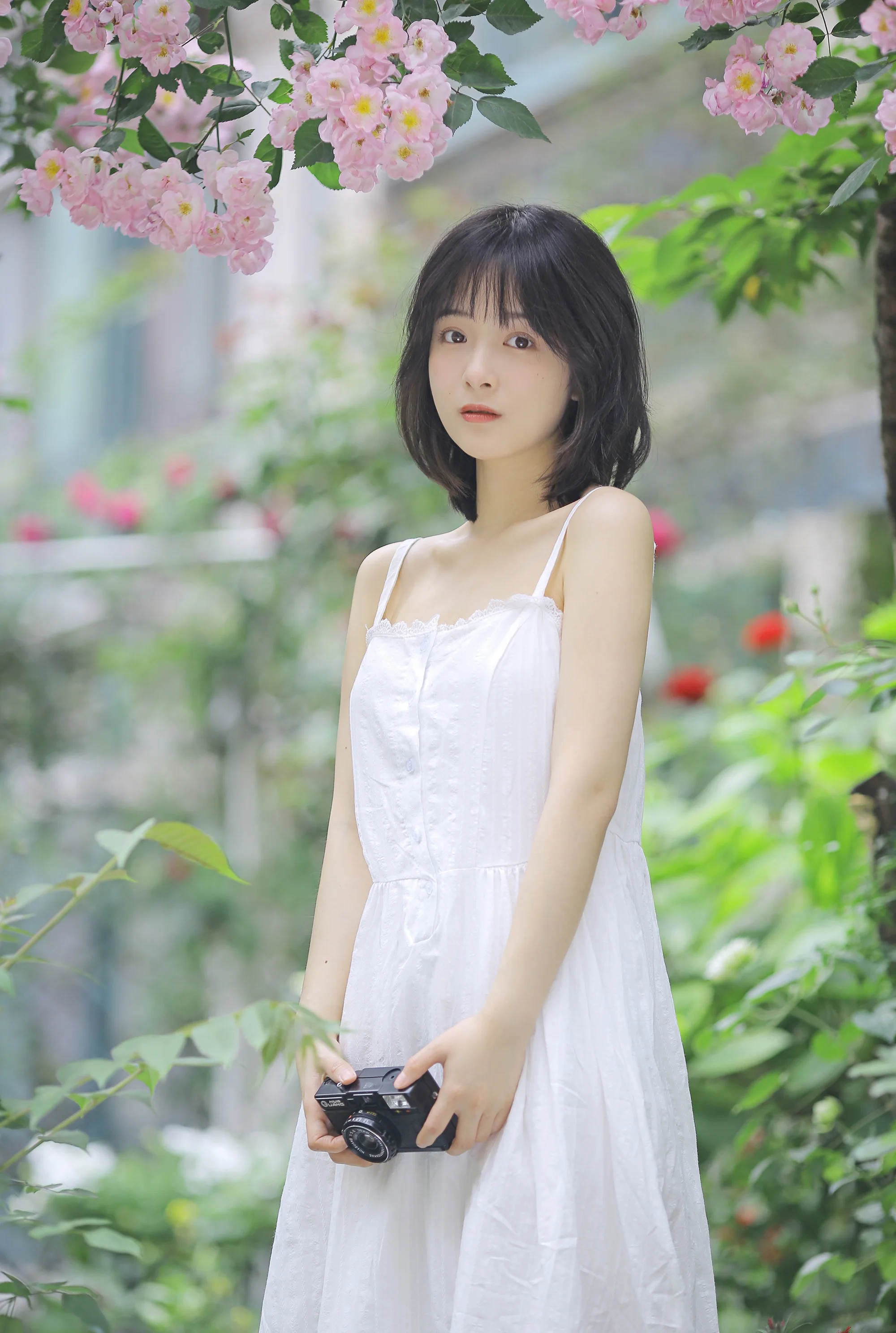 Photo by 壁纸迷