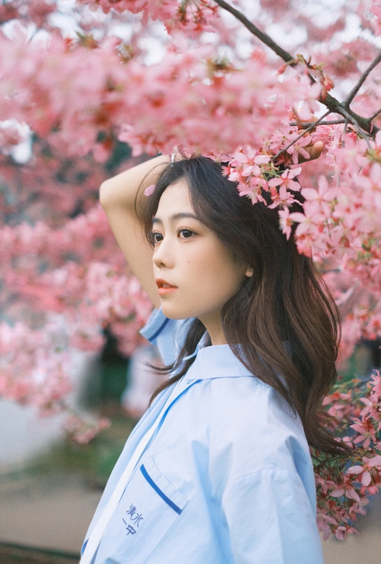 Photo by 壁纸迷