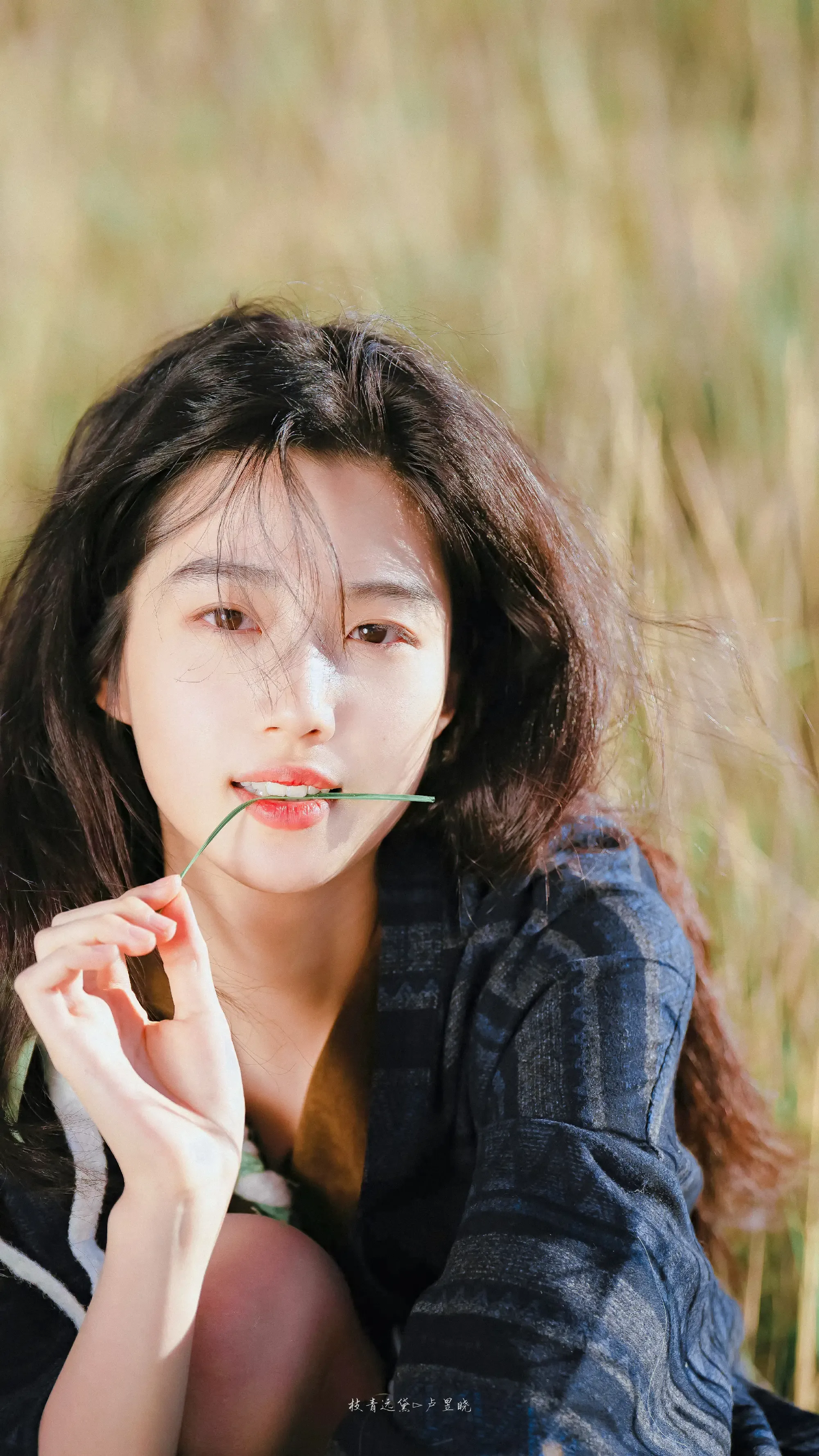 温柔知性的 小姐姐唯美写真 照片 优质手机壁纸