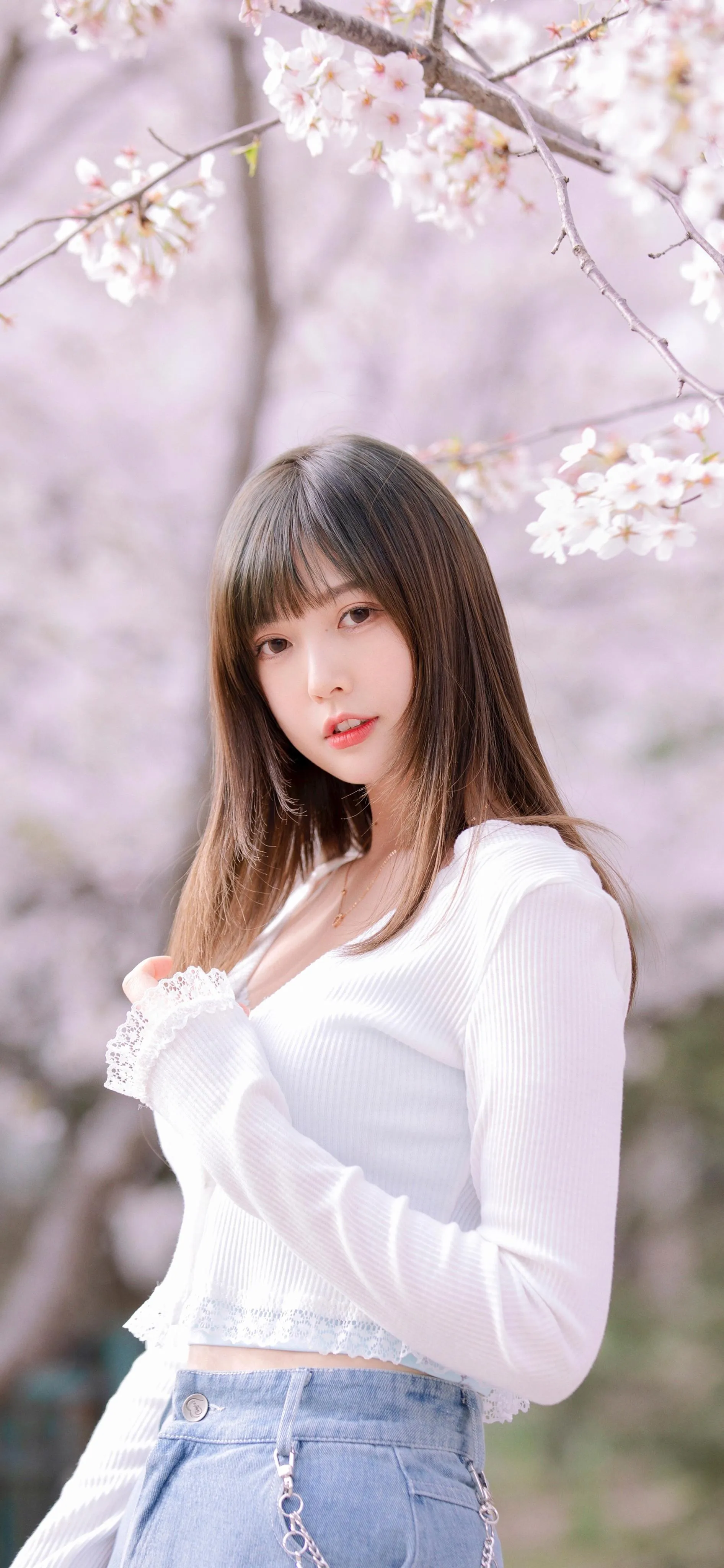 Photo by 壁纸迷