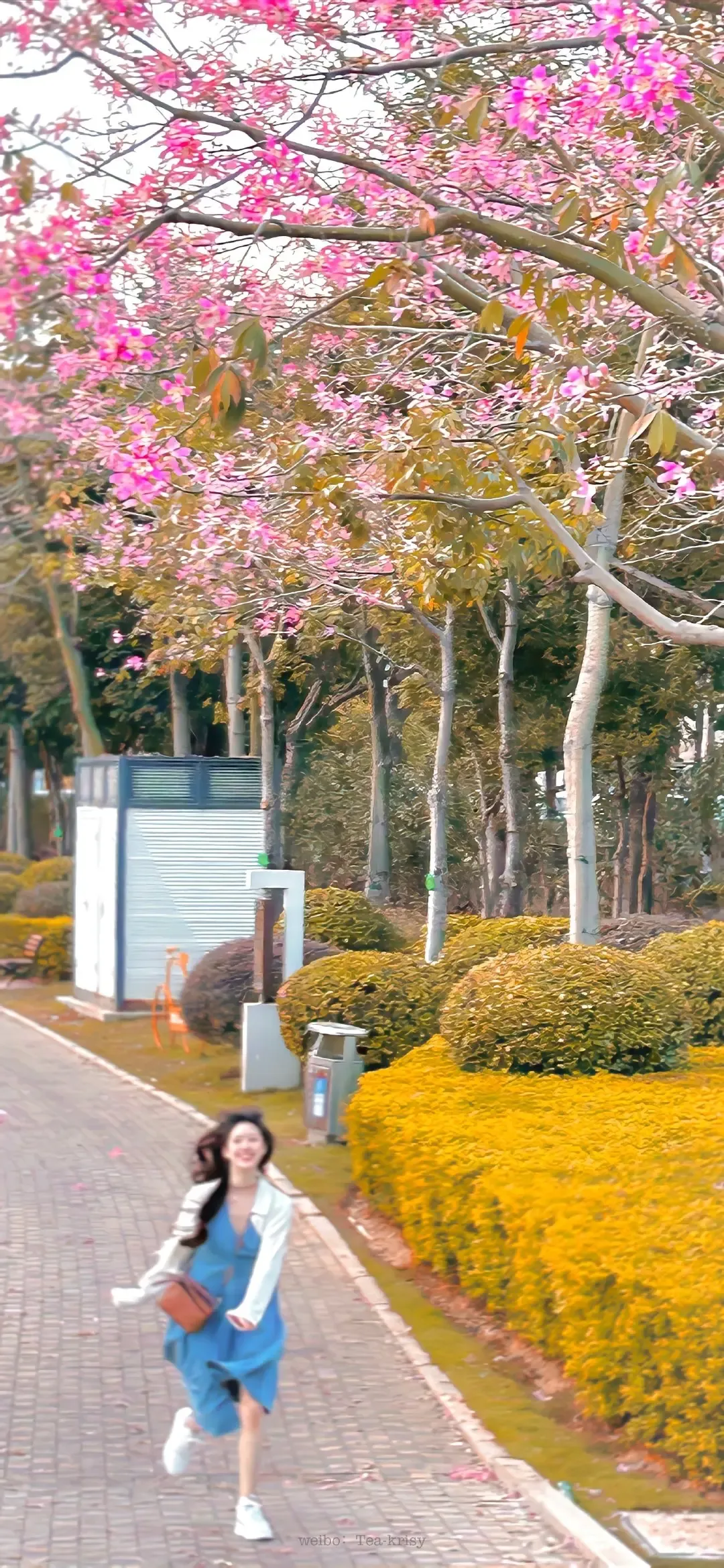 Photo by 壁纸迷