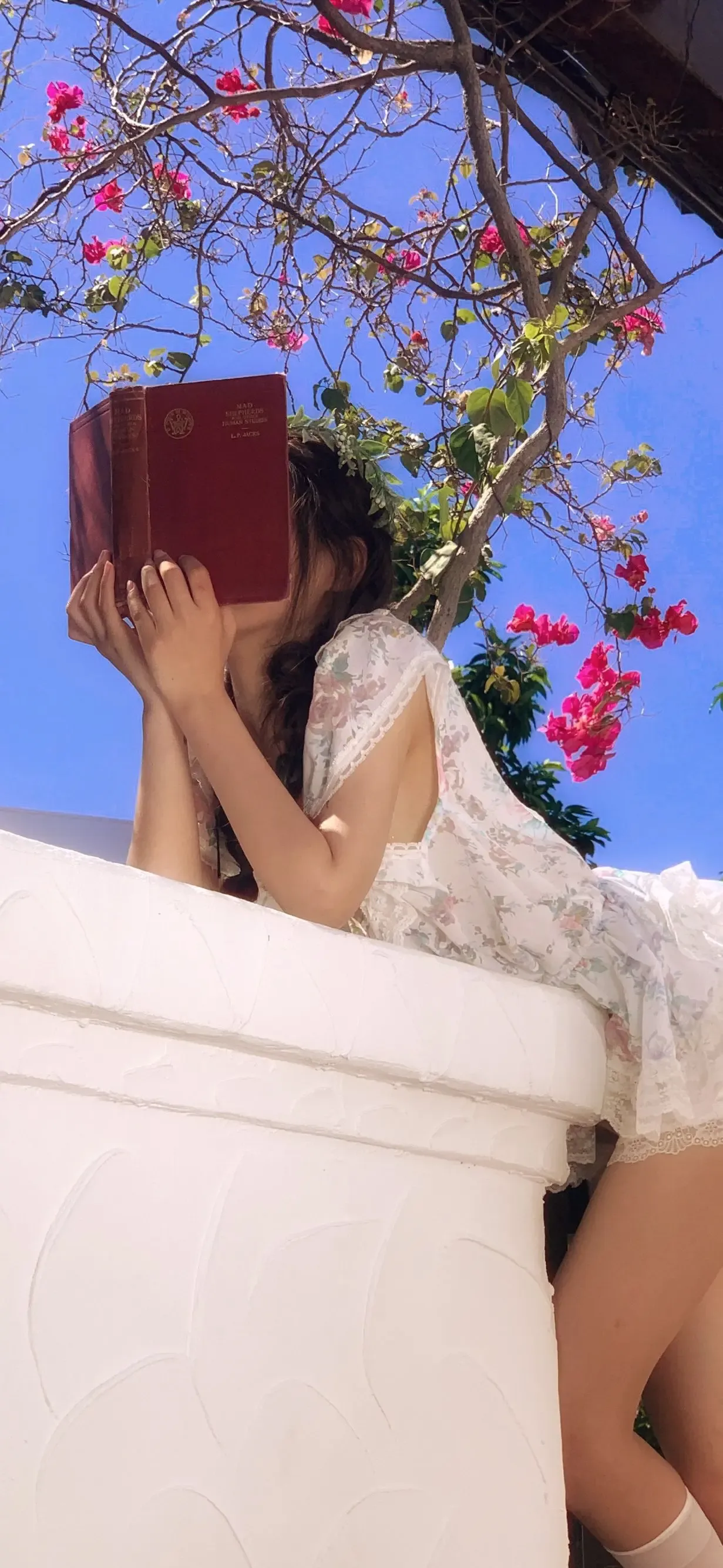 温柔知性的 小姐姐唯美写真 照片 优质手机壁纸