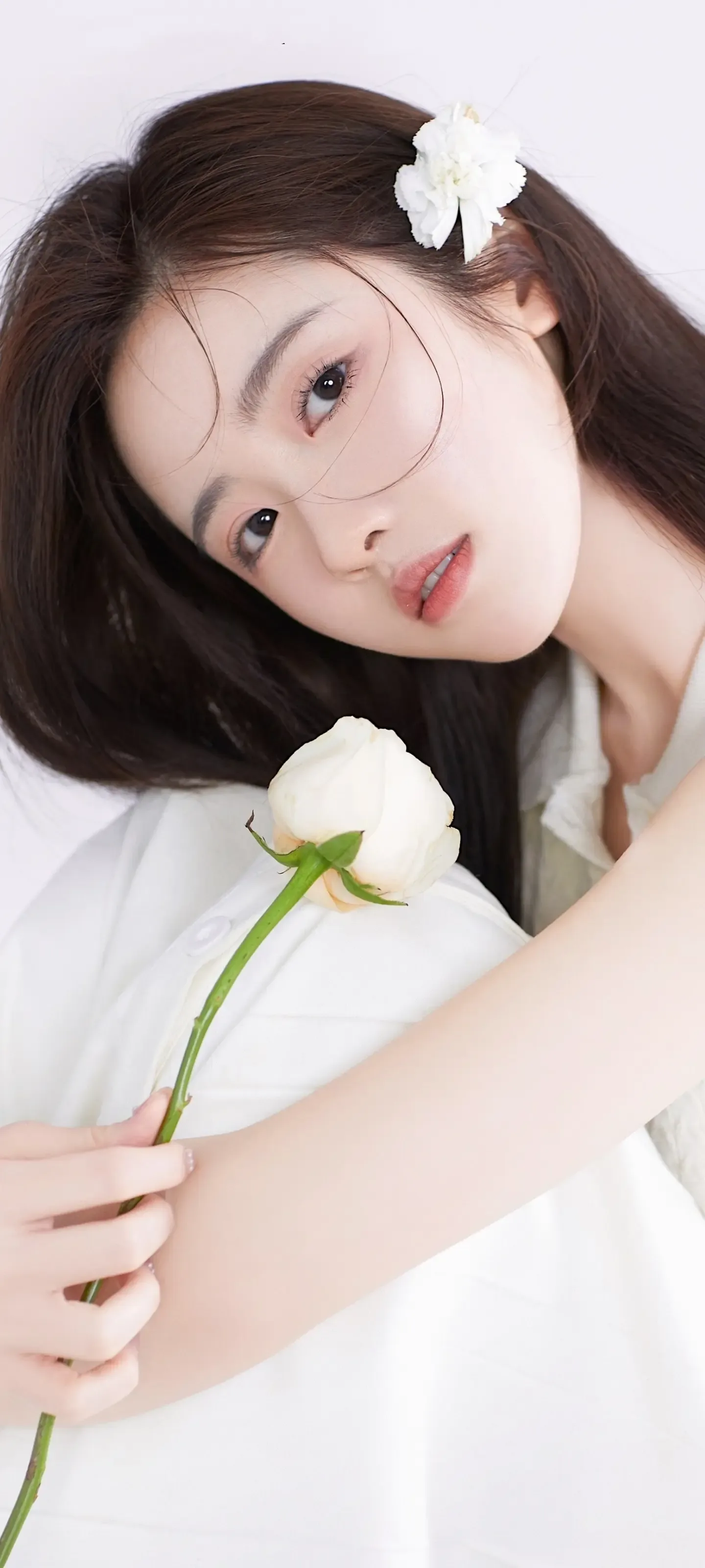 Photo by 壁纸迷