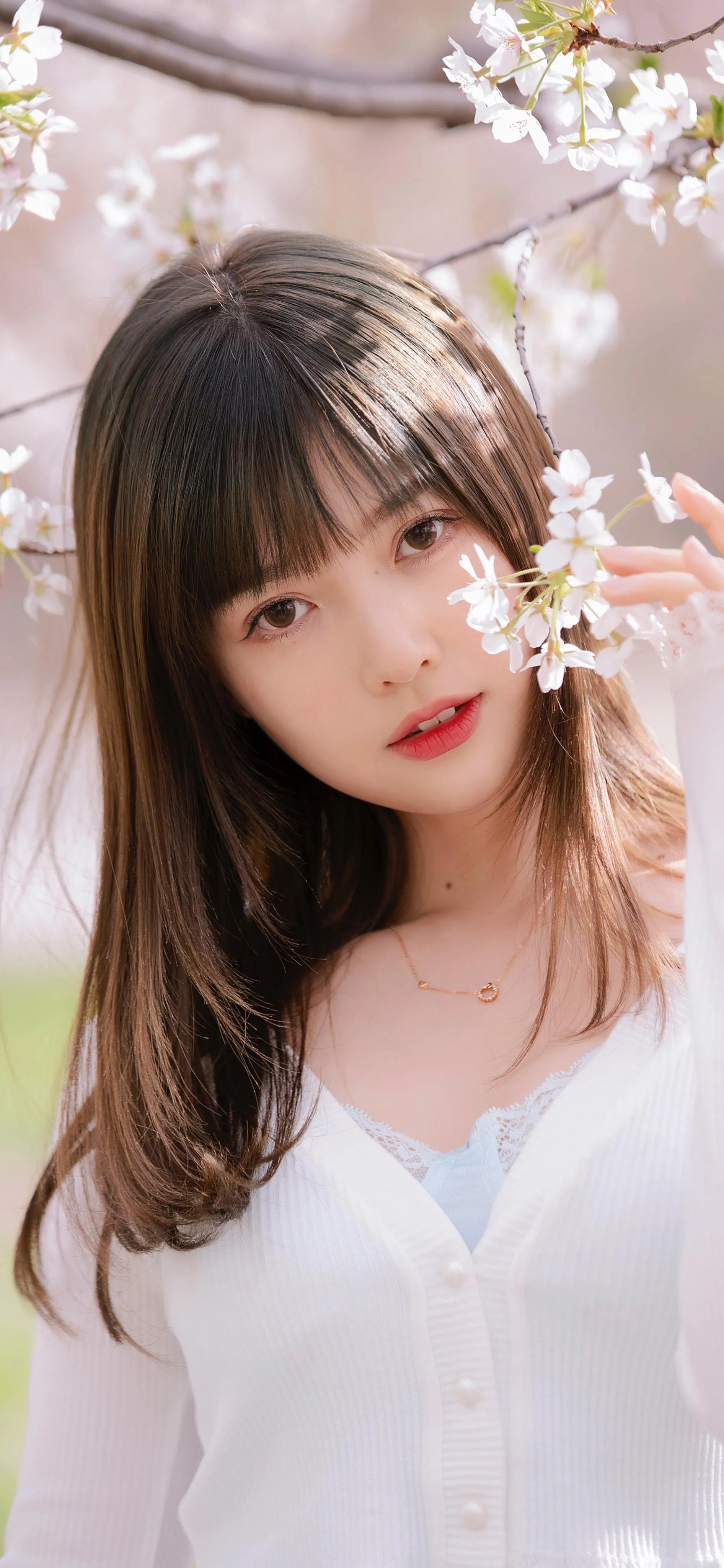 靓丽多姿的 小姐姐唯美写真 照片 优质手机壁纸