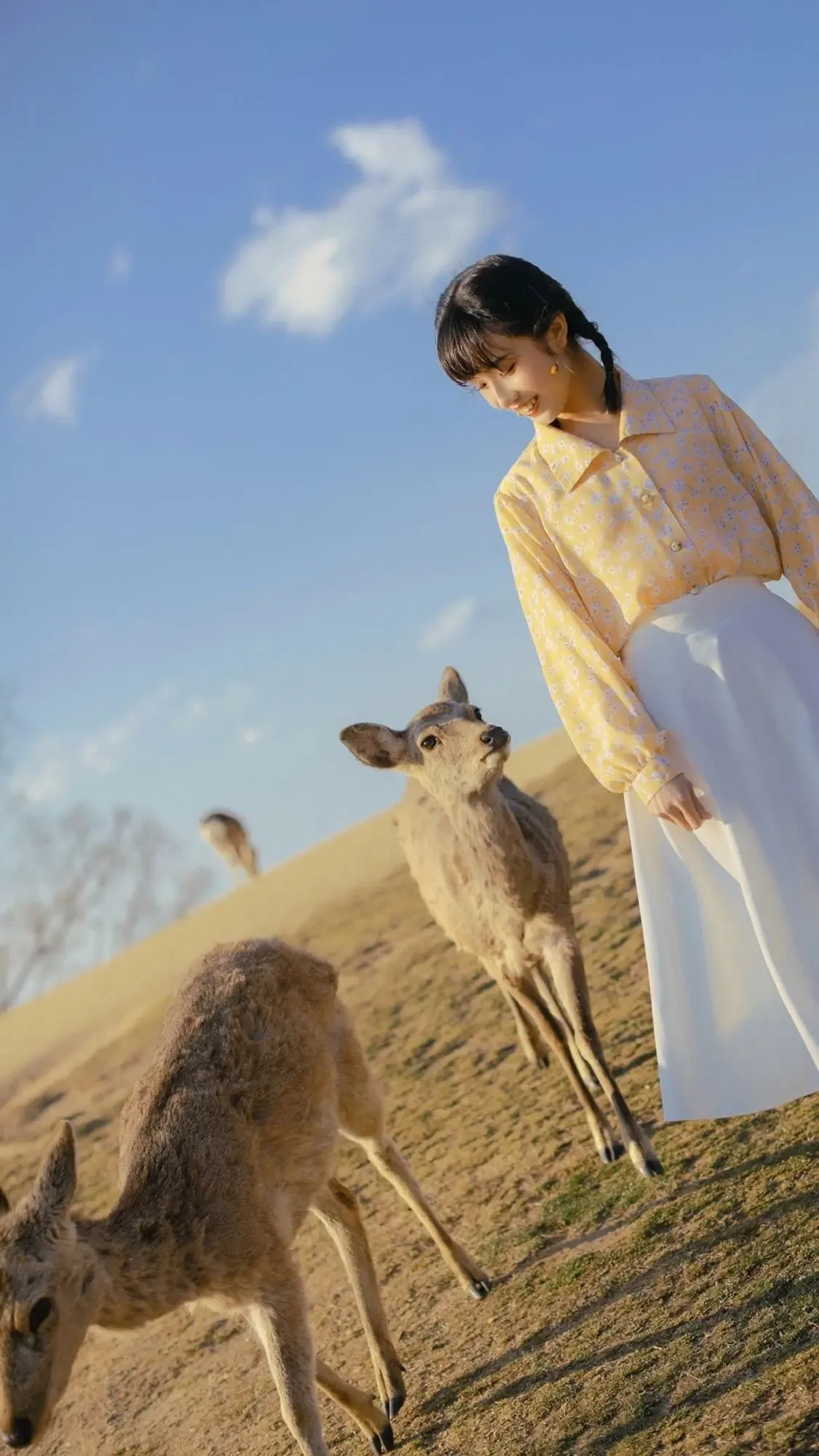 温柔知性的 小姐姐唯美写真 照片 优质手机壁纸