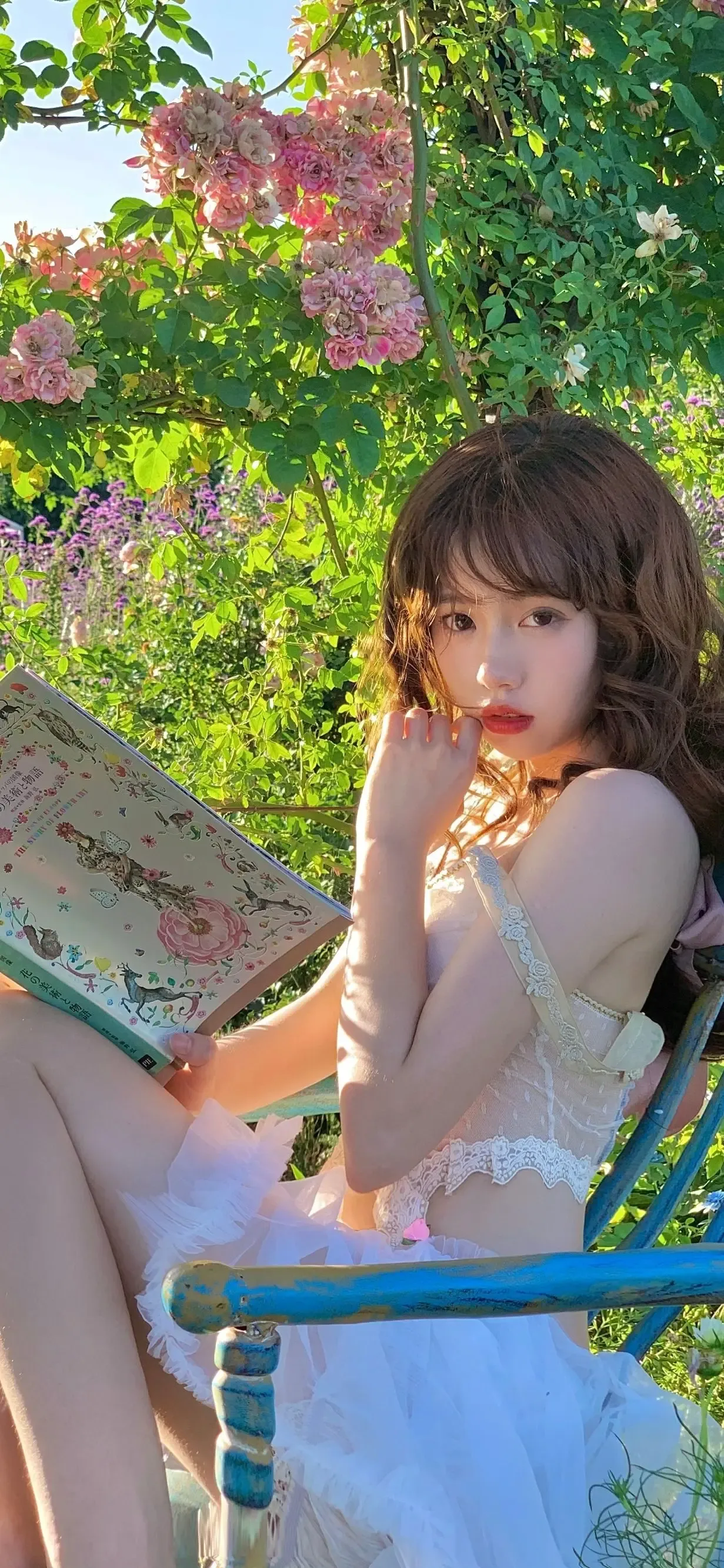 Photo by 壁纸迷
