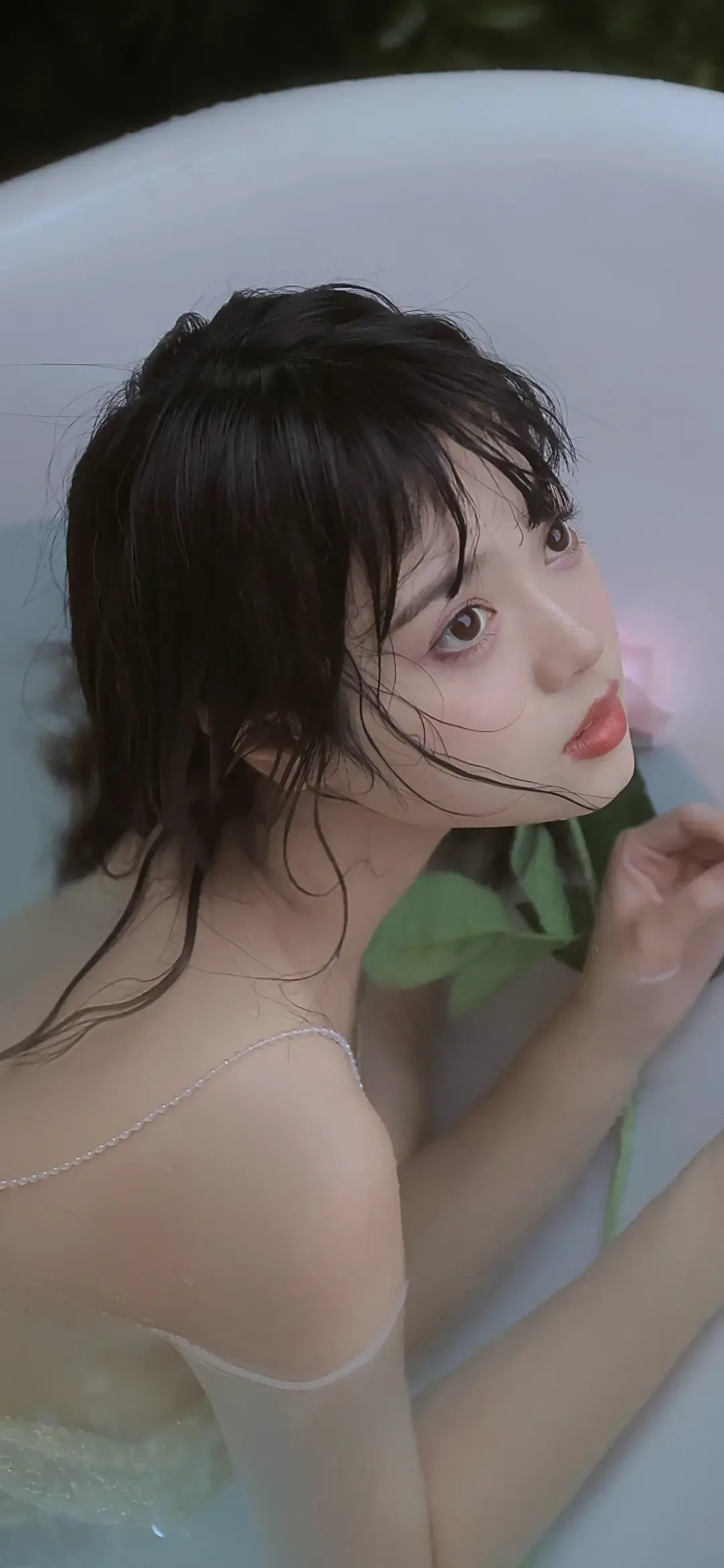Photo by 壁纸迷