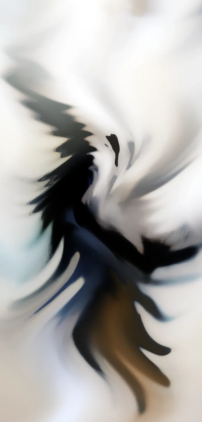 Photo by 壁纸迷