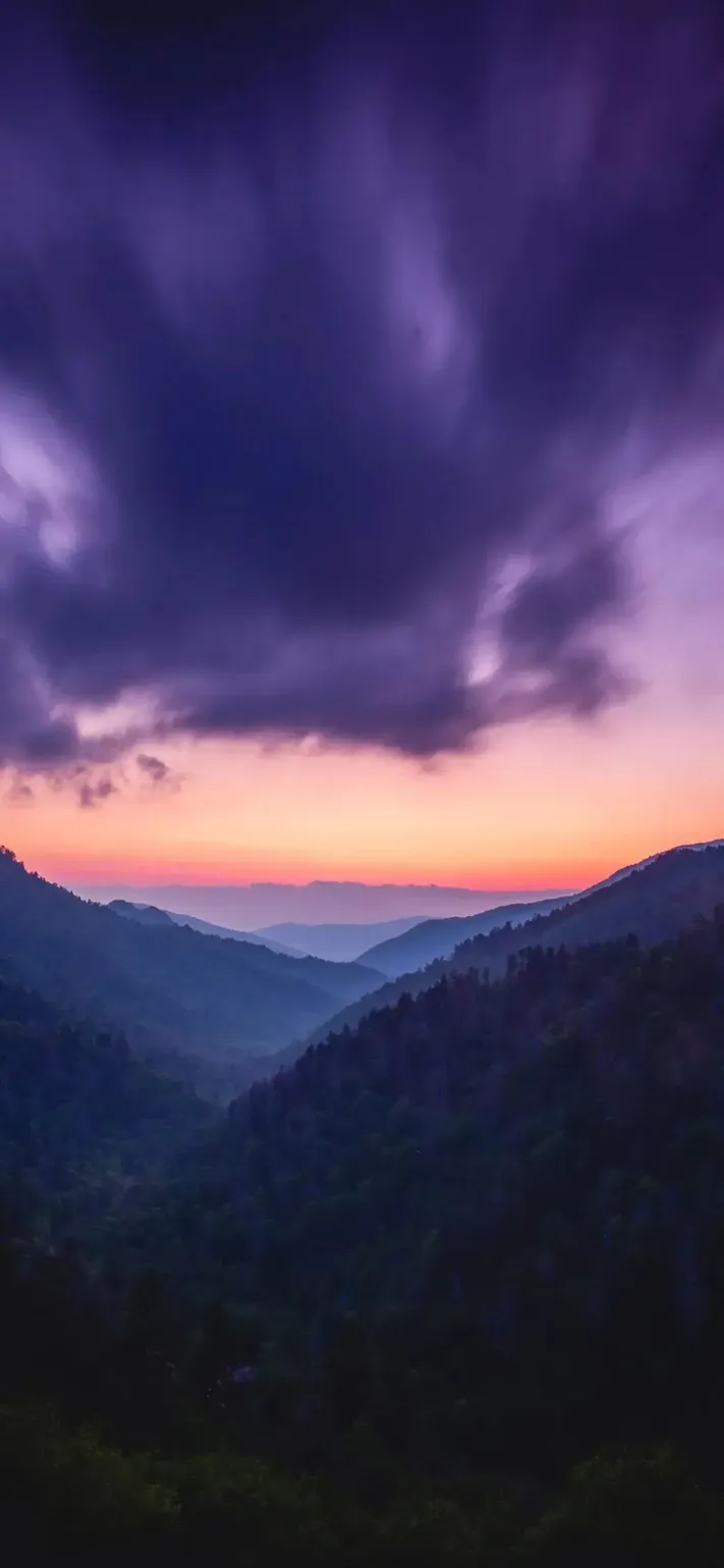 Photo by 壁纸迷