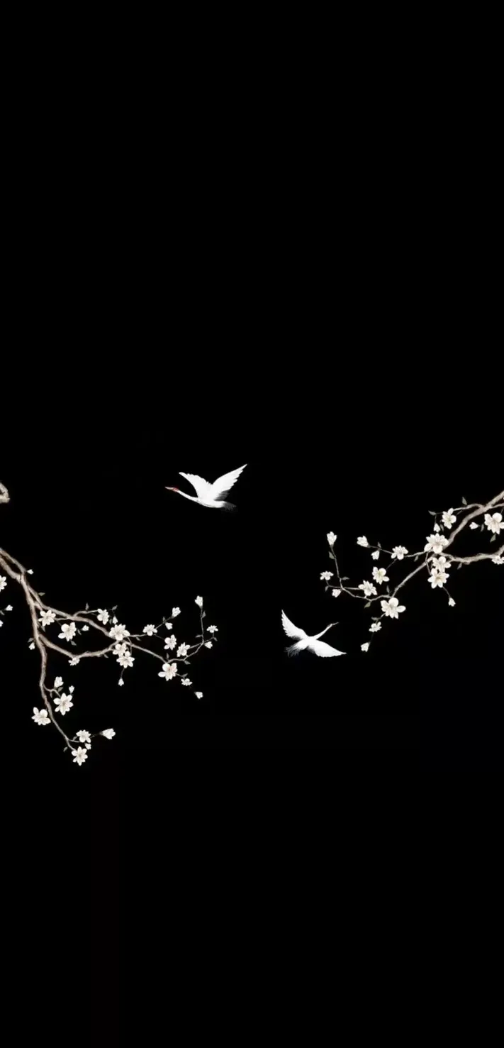 Photo by 壁纸迷