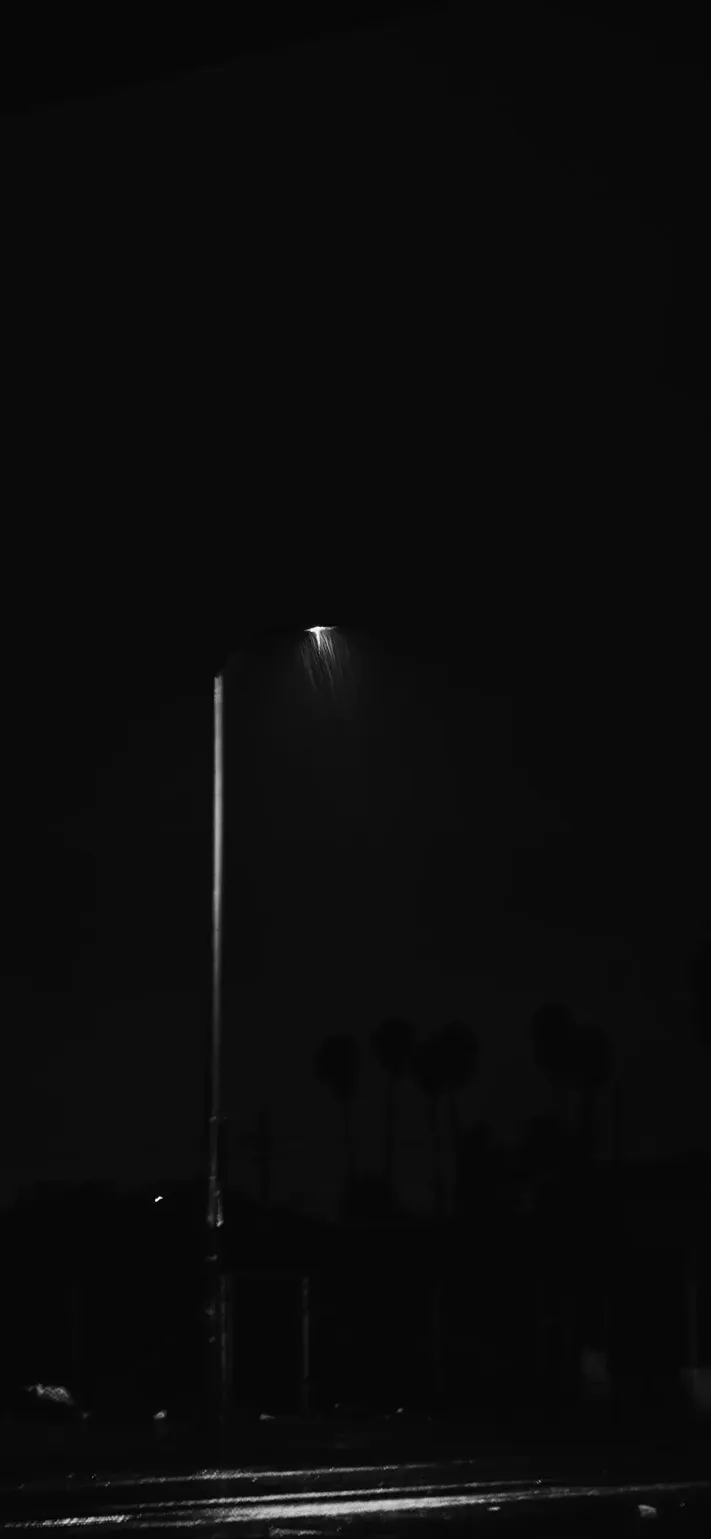 Photo by 壁纸迷
