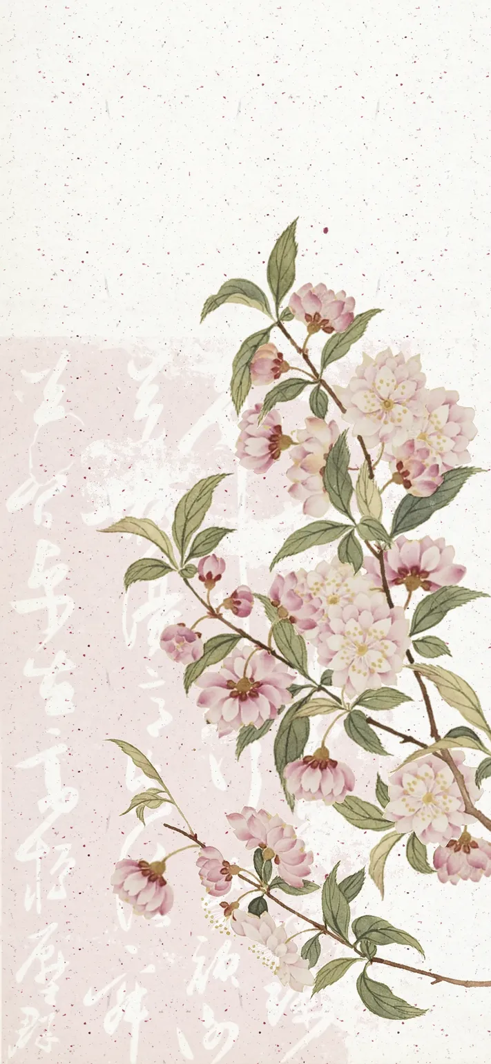 Photo by 壁纸迷