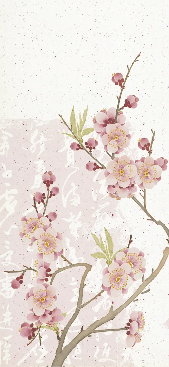 Photo by 壁纸迷