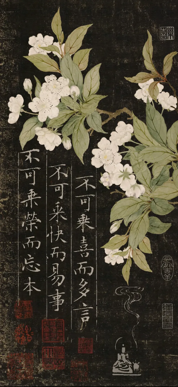 Photo by 壁纸迷