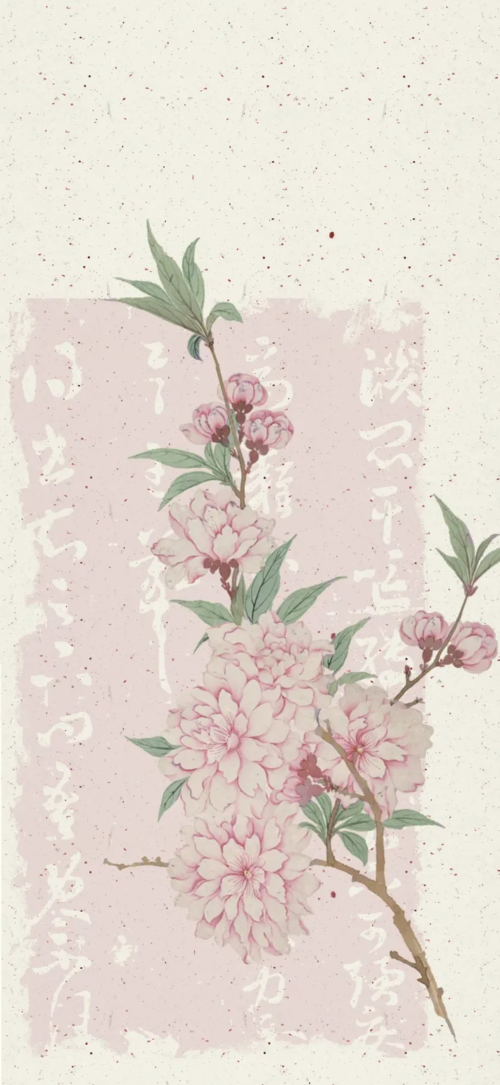 Photo by 壁纸迷
