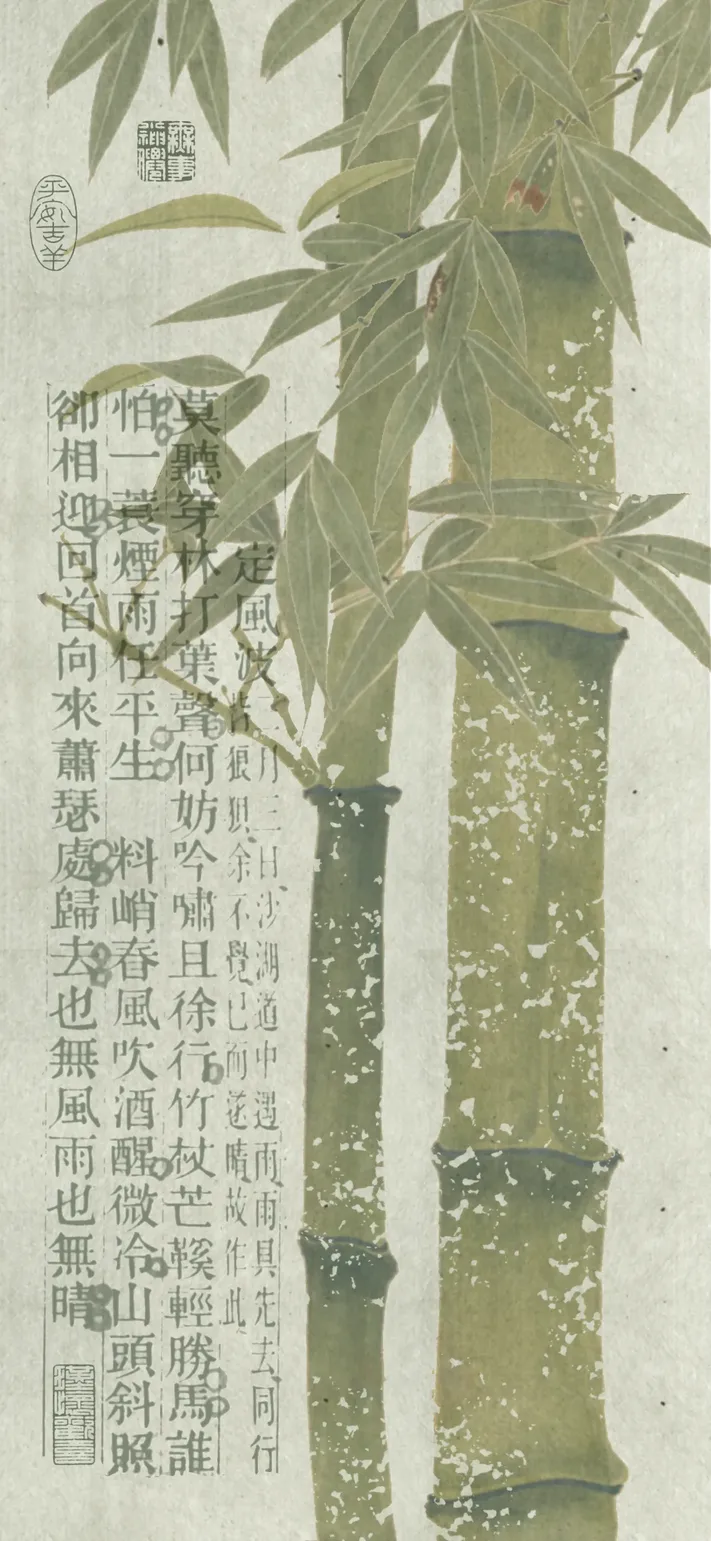 Photo by 壁纸迷