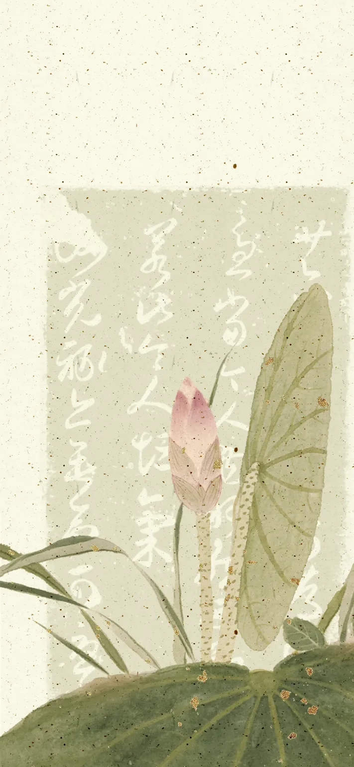 Photo by 壁纸迷