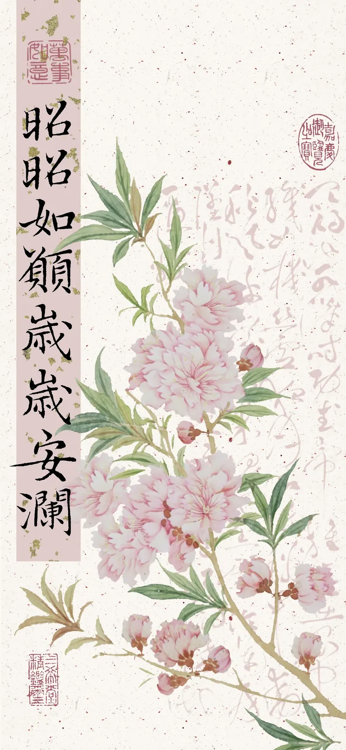 Photo by 壁纸迷