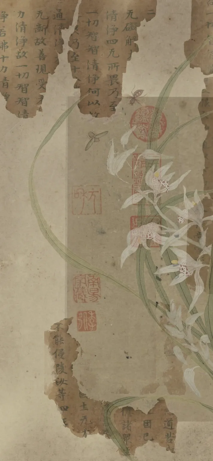 Photo by 壁纸迷