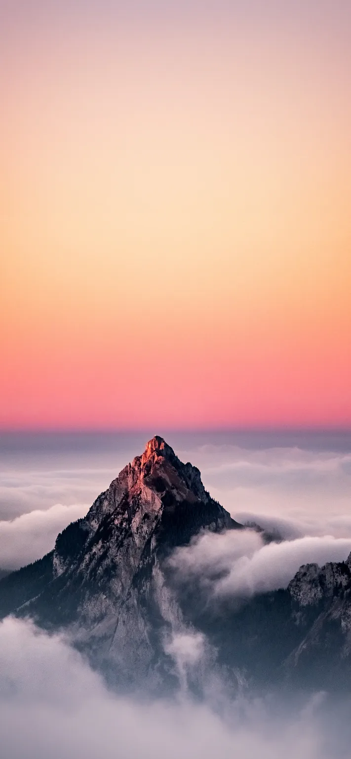 Photo by 壁纸迷