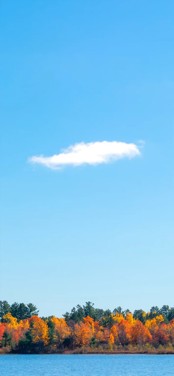 Photo by 壁纸迷