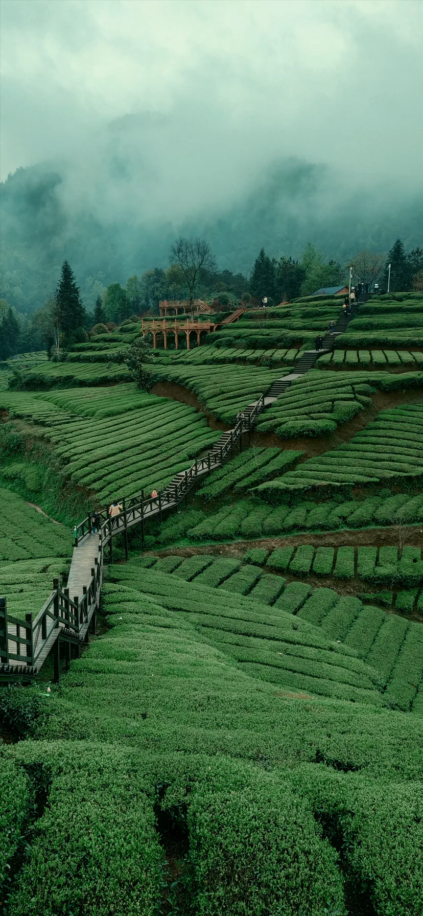 自然风景蓝泪湖壁纸-高清蓝泪湖风格自然风景图片