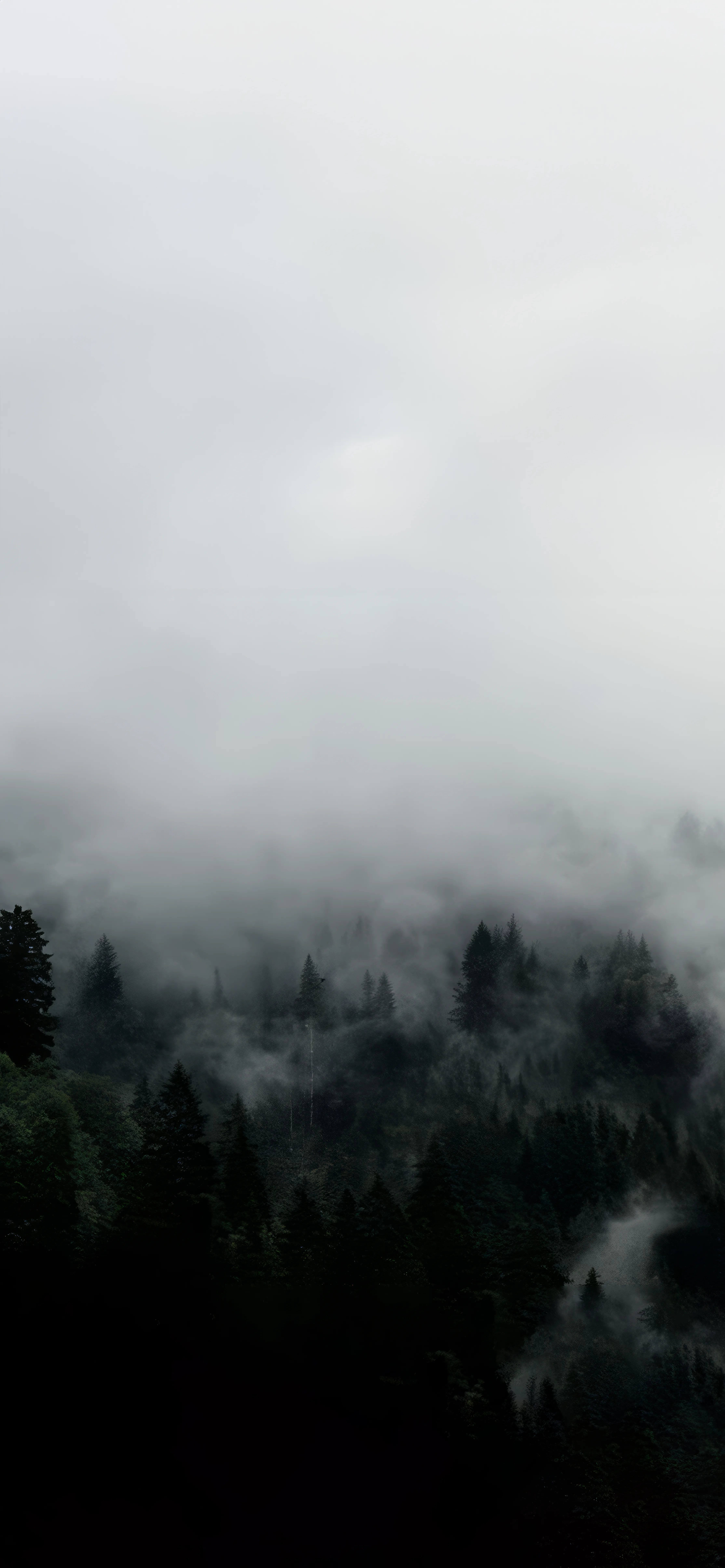 自然风景风景壁纸-高清风景风格自然风景图片