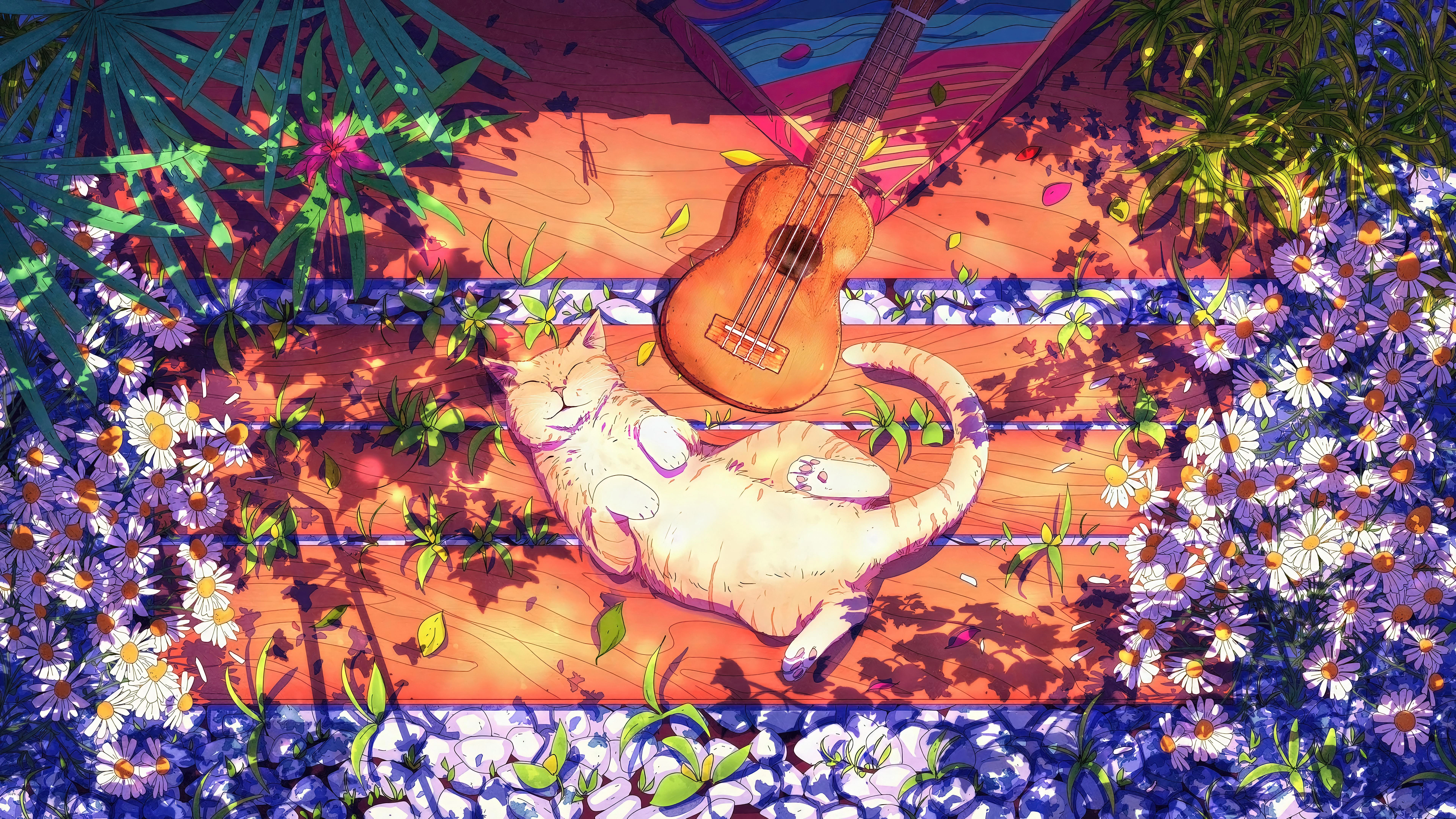 猫咪摄影作品 可爱小猫高清壁纸素材