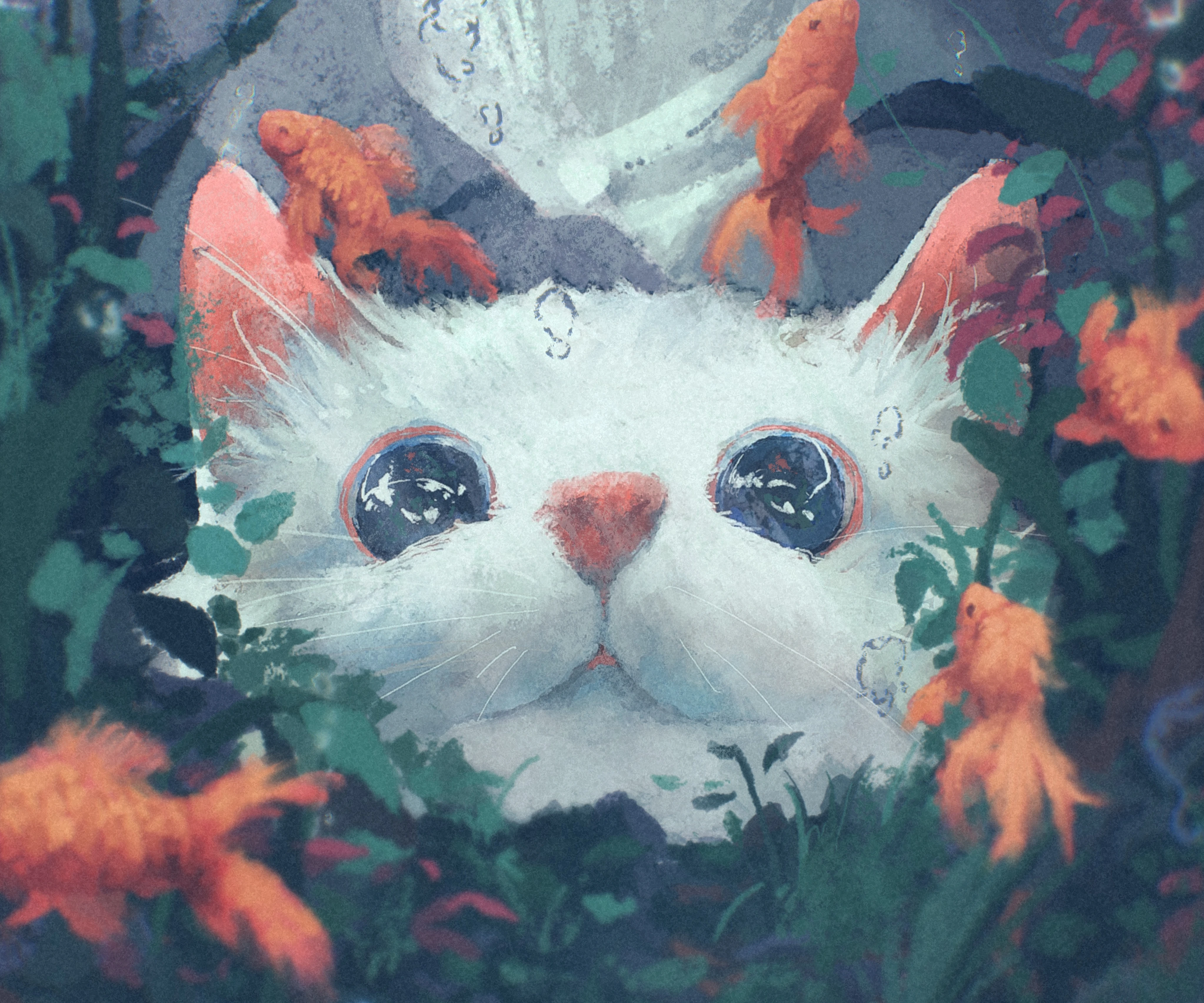 可爱猫咪壁纸 小猫高清摄影图片