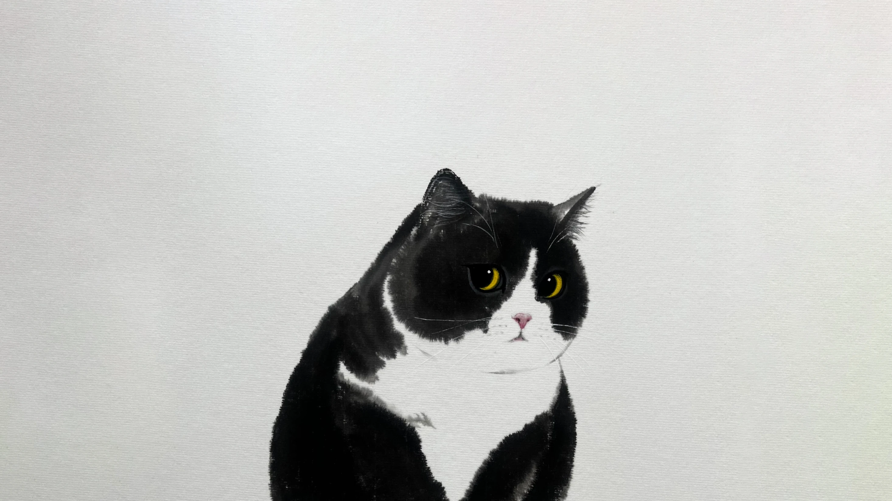 小猫图片大全 萌宠猫咪高清摄影素材