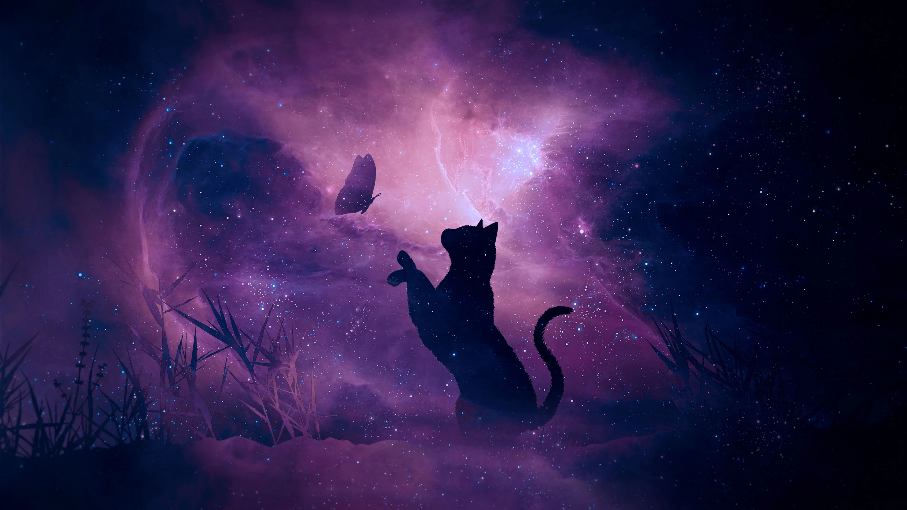 可爱小猫壁纸 猫咪图片高清合集