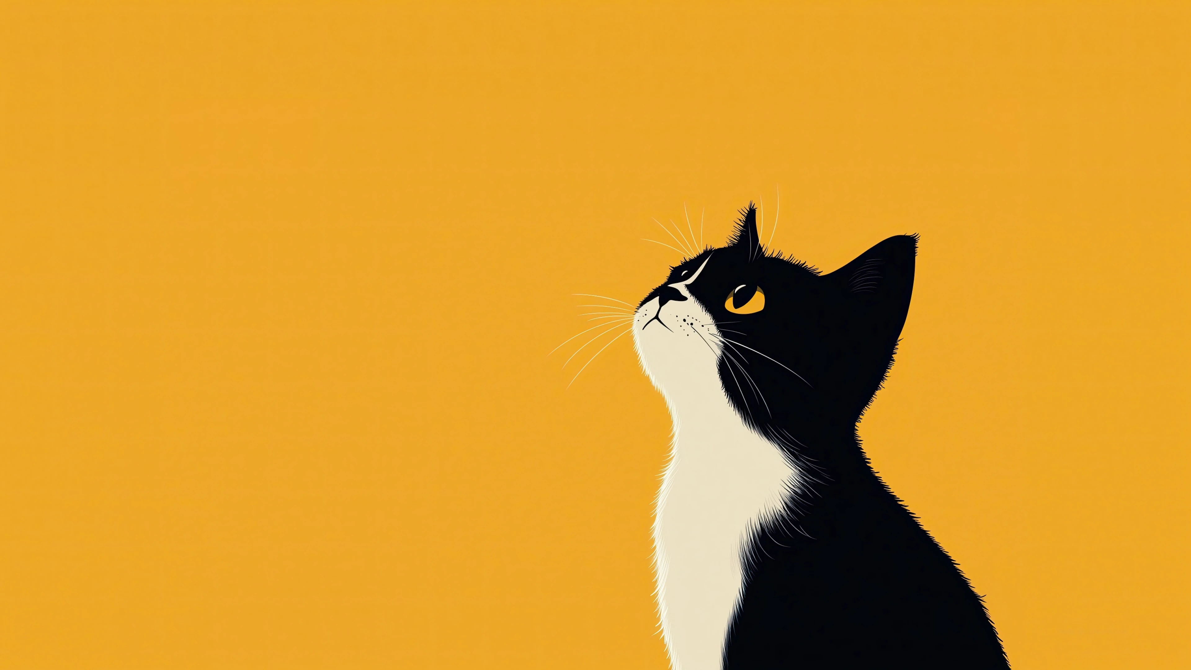 猫咪图片素材 可爱小猫壁纸大全