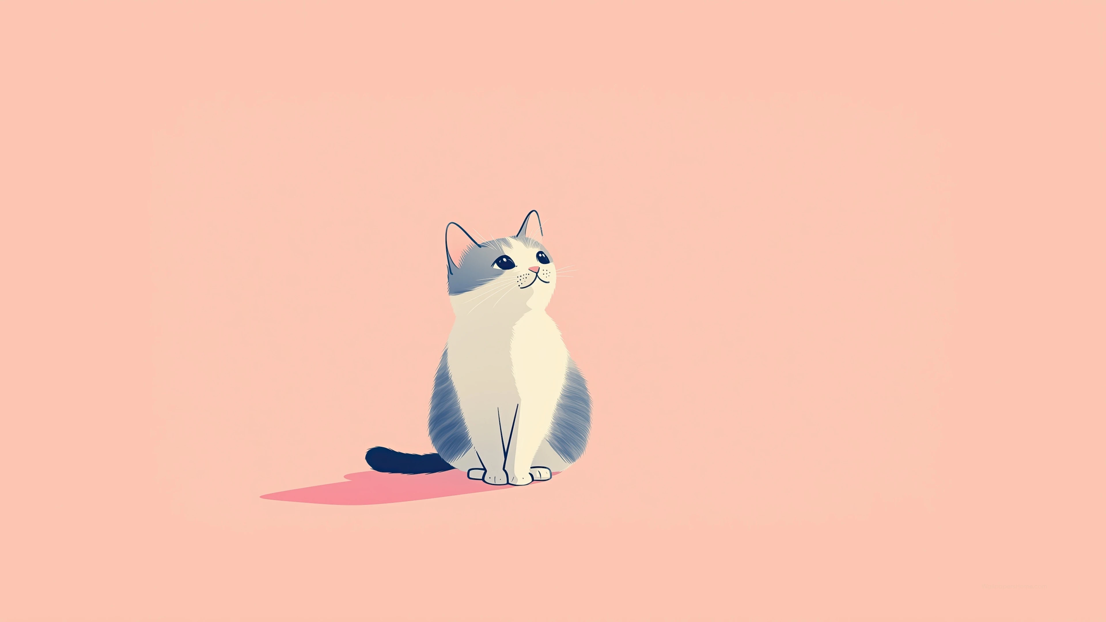 可爱小猫壁纸 猫咪图片高清合集