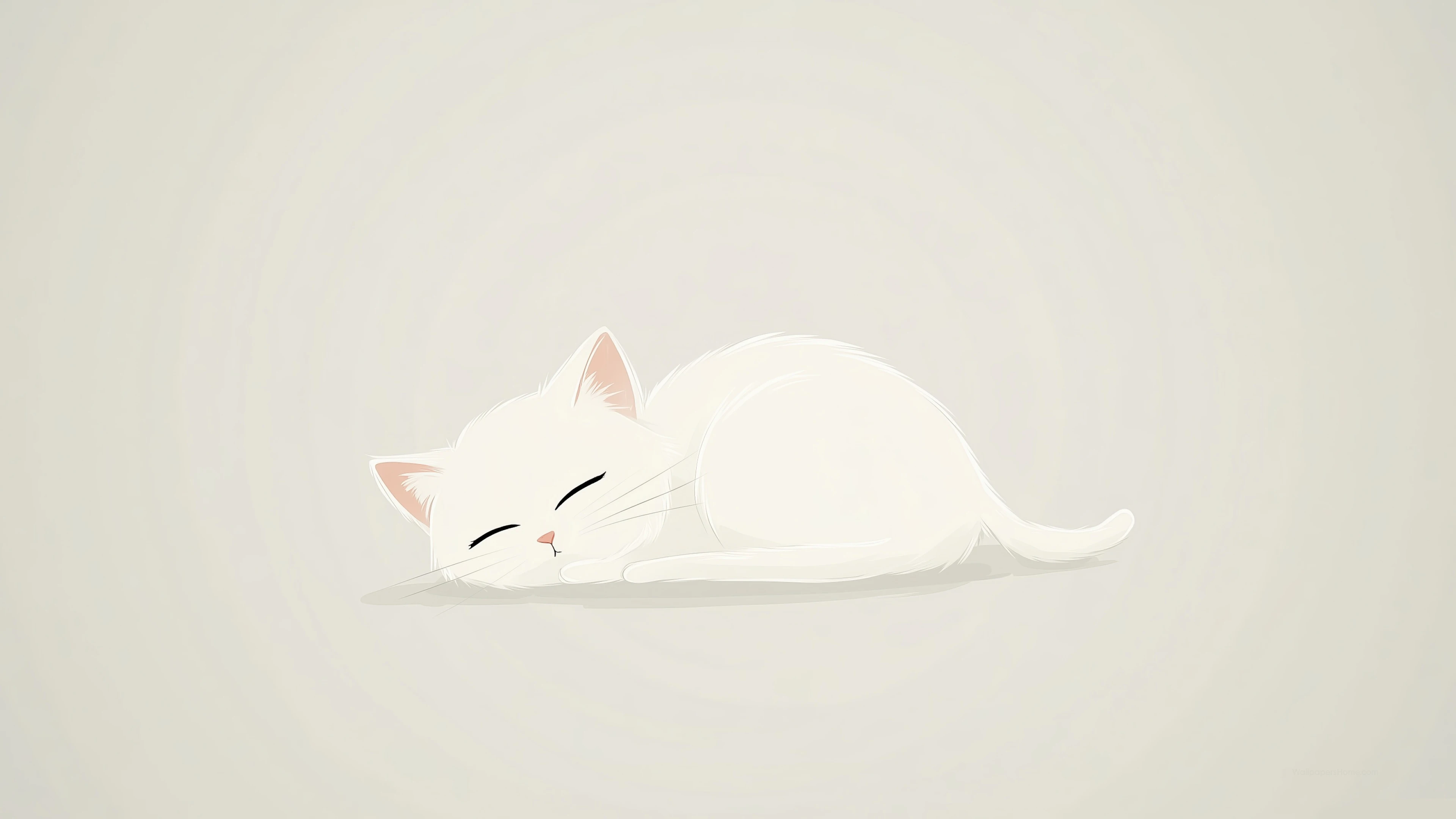 可爱小猫壁纸 猫咪图片高清合集