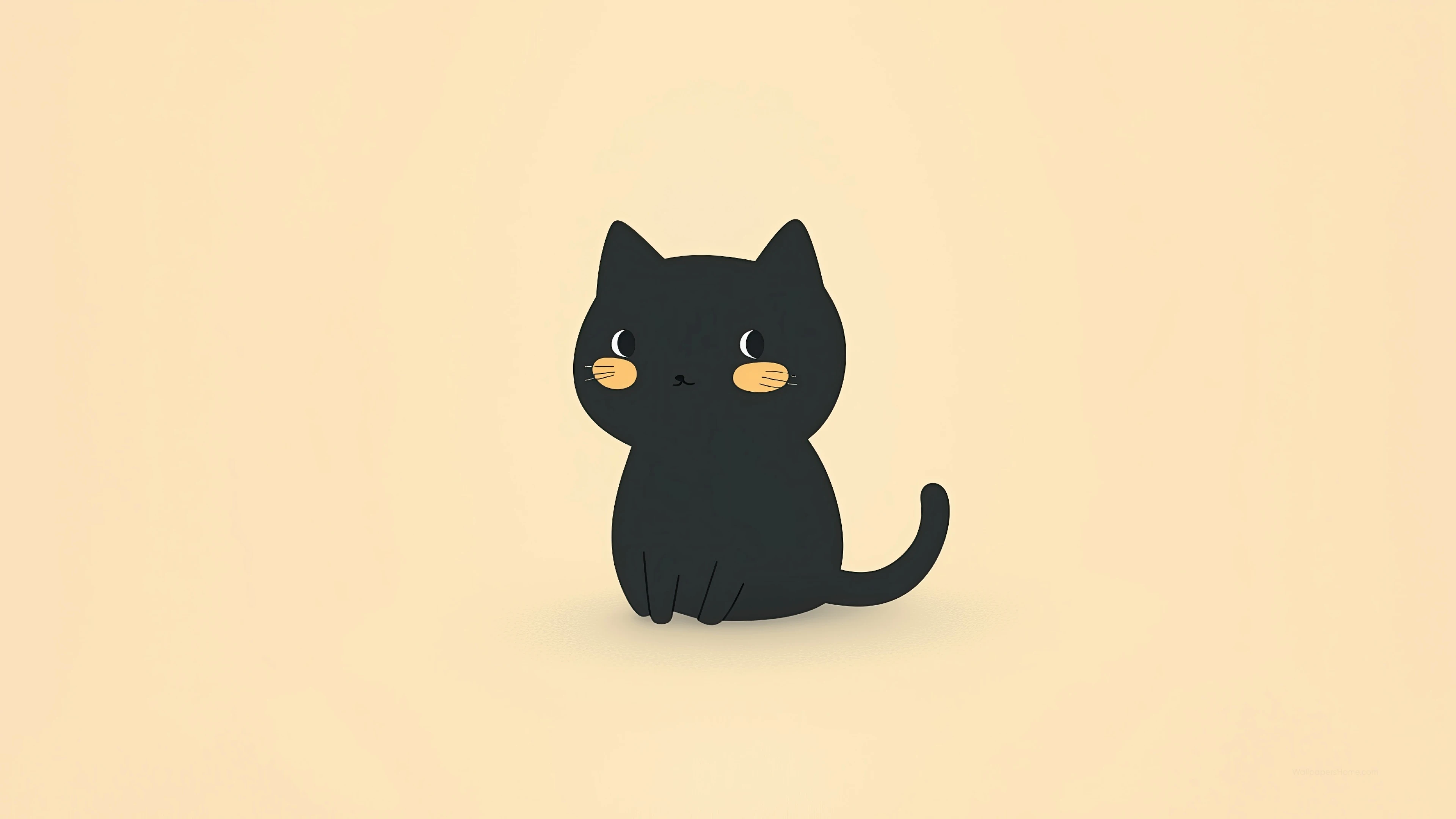 高清猫咪壁纸 可爱小猫图片欣赏