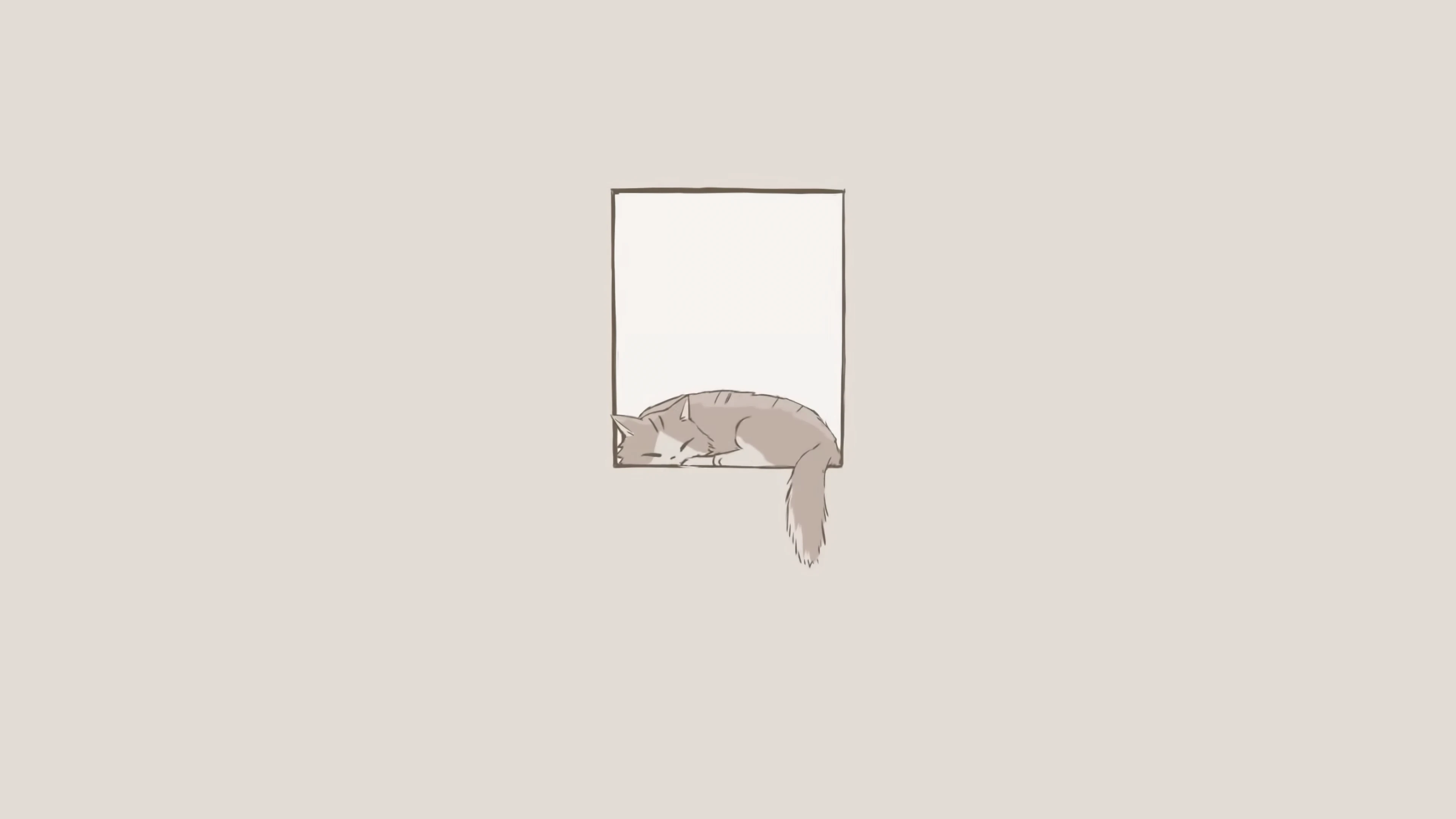 萌宠猫咪图片合集 小猫壁纸免费下载