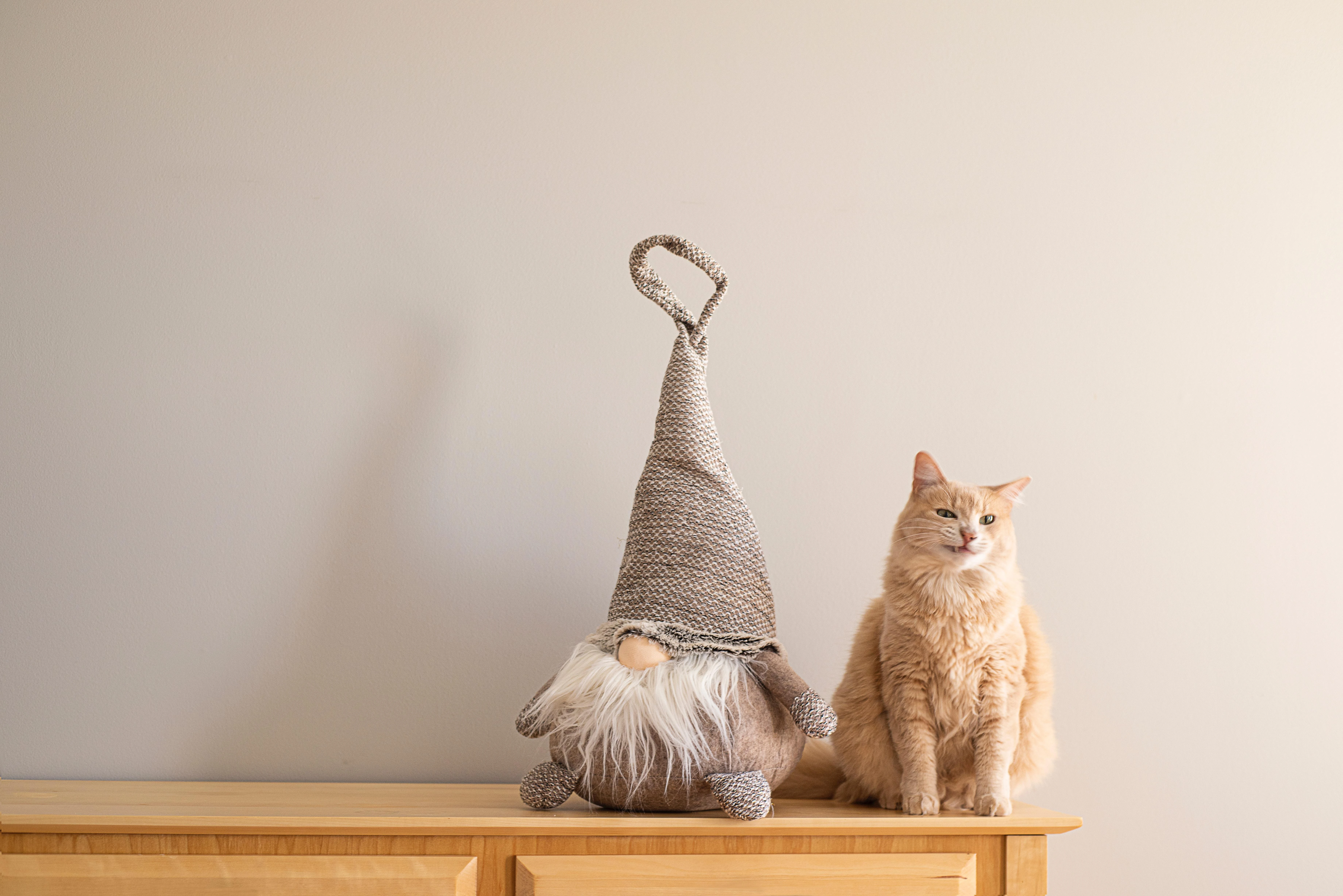 橘猫慵懒趴在窗台 高清图片