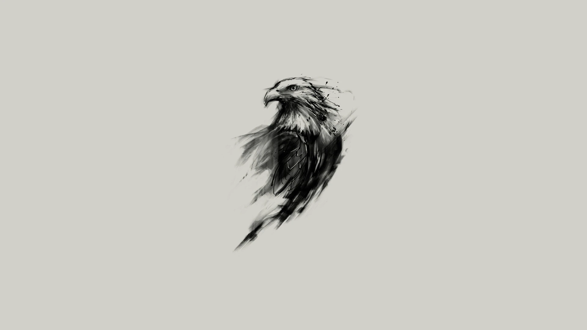 萌宠小鸟图片合集 各类鸟类摄影欣赏