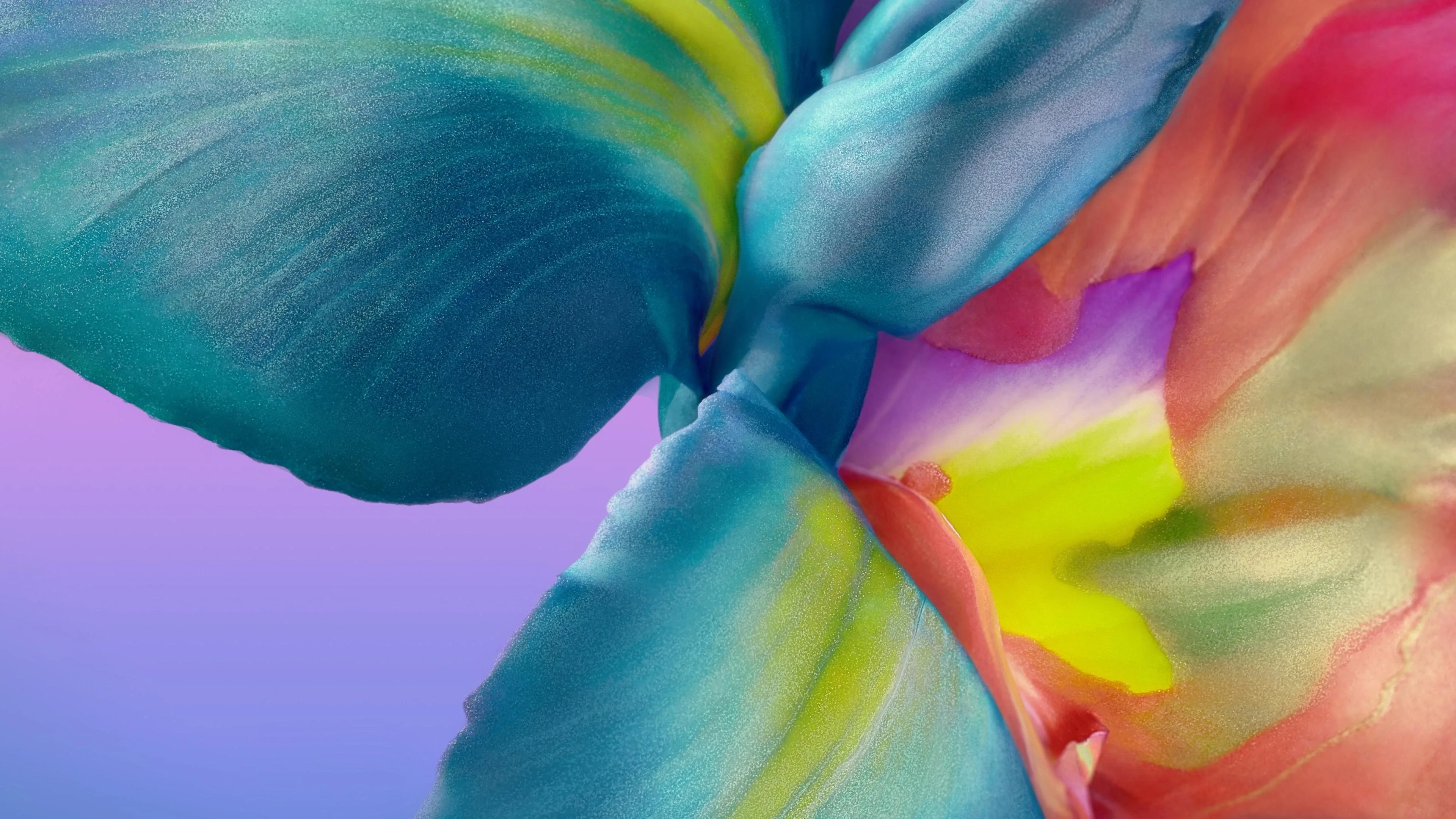 简约图片 色彩壁纸 高清视觉体验