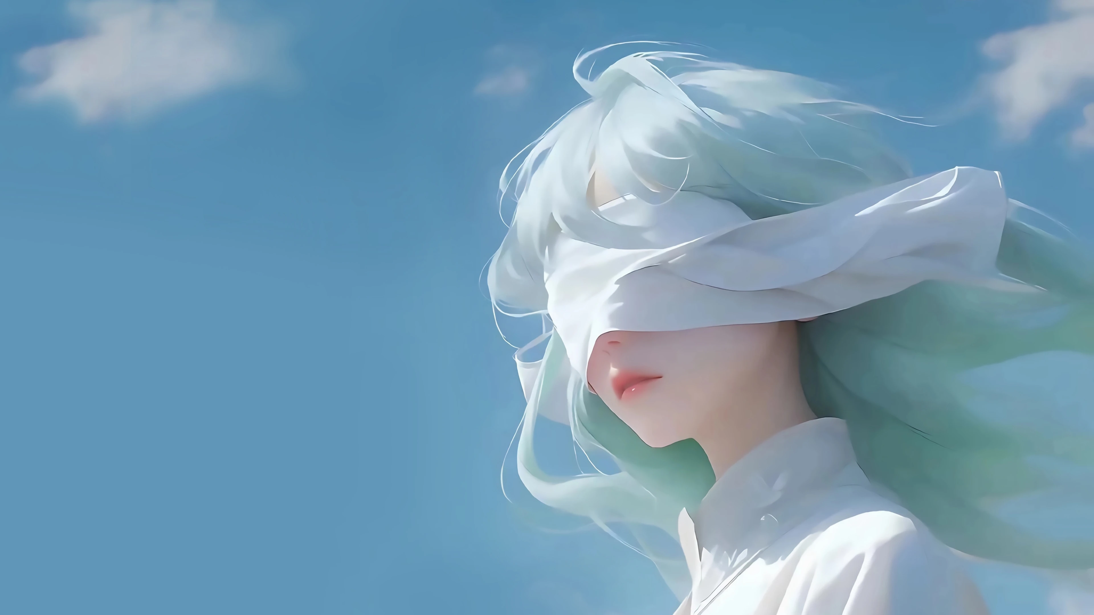 无损画质 动漫合集插画壁纸 IPAD pc 无水印