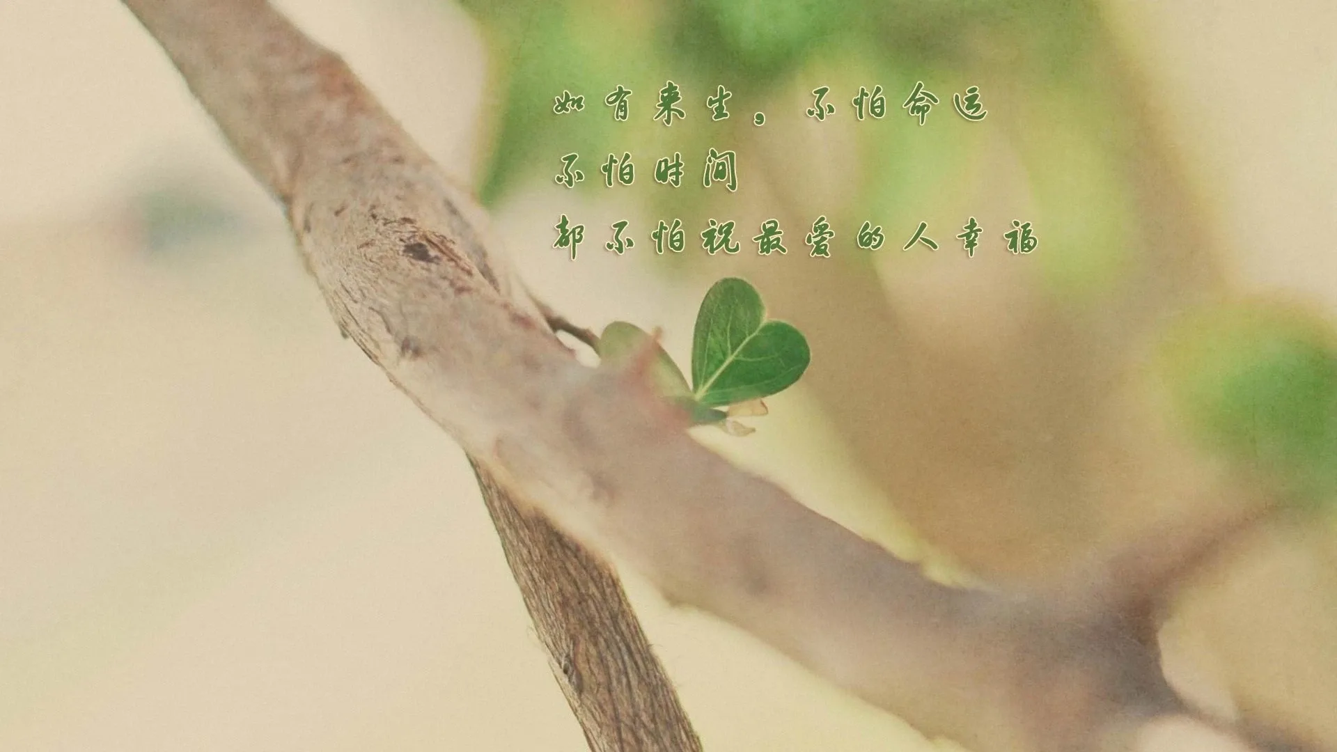 4K爱情浪漫壁纸 牵手倒影温馨甜蜜